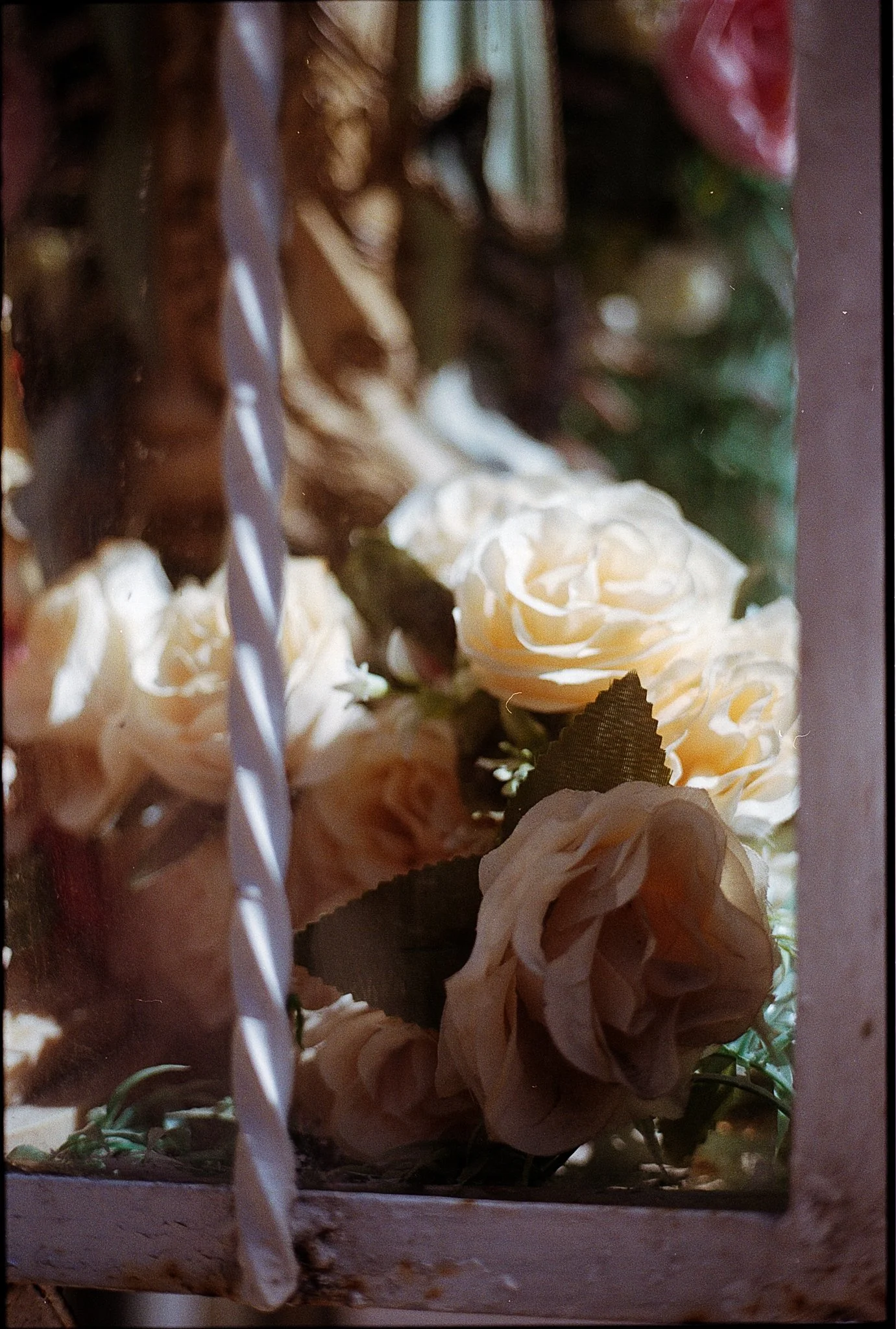 Mexico City -  (17 of 47).jpg