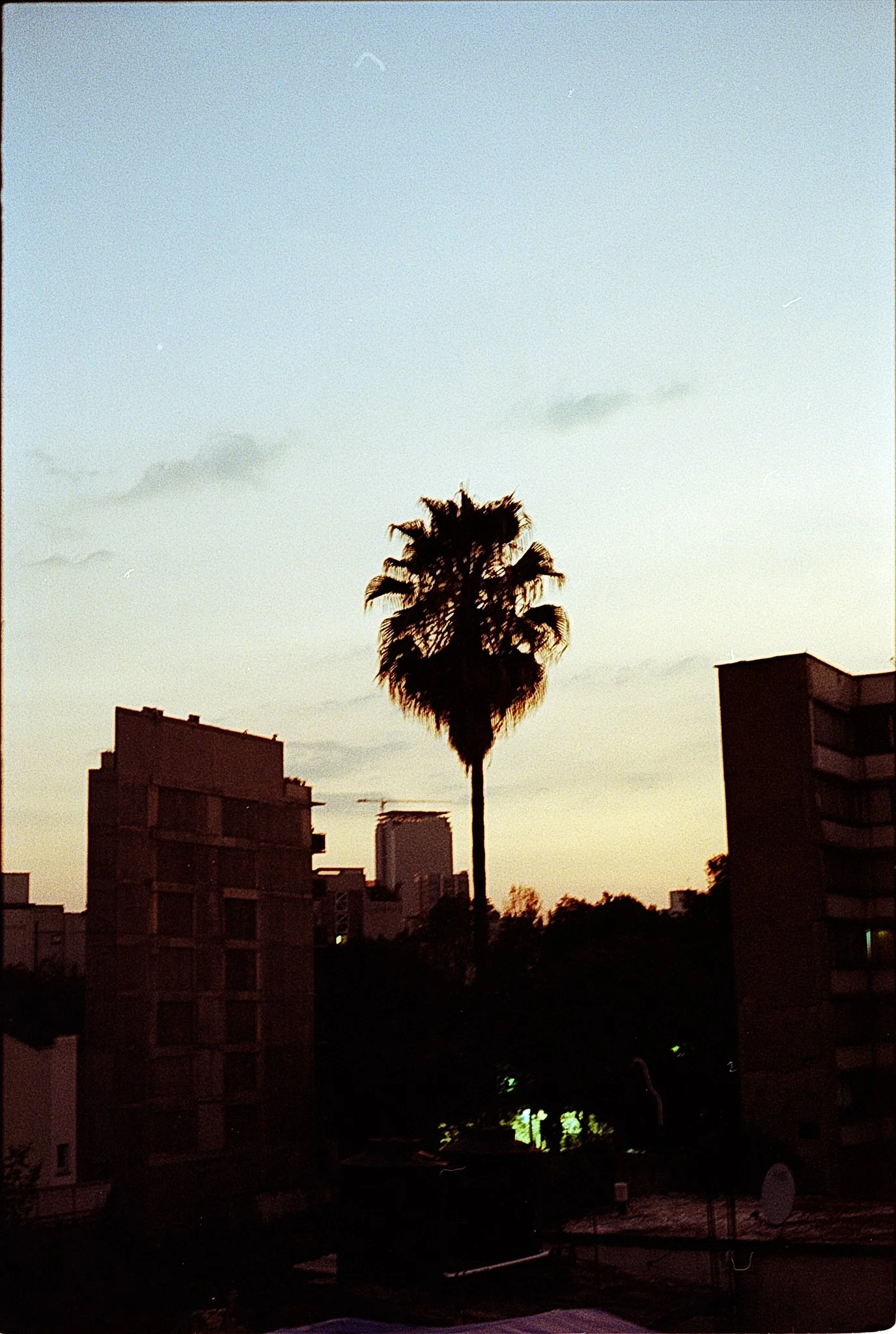 Mexico City -  (19 of 47).jpg