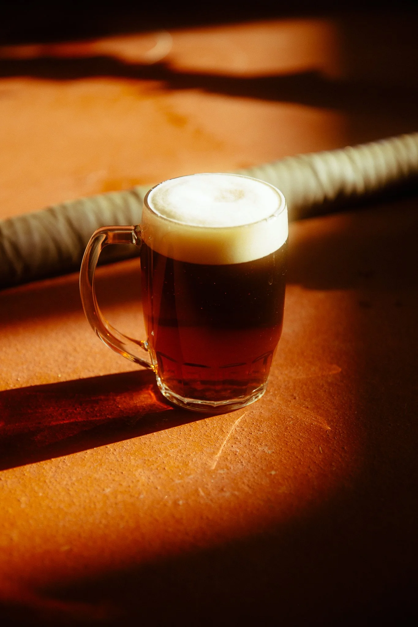 AMiller - NYT 36 Hours in Grand Junction_Assignment ID 67026660c (4 of 51).jpg