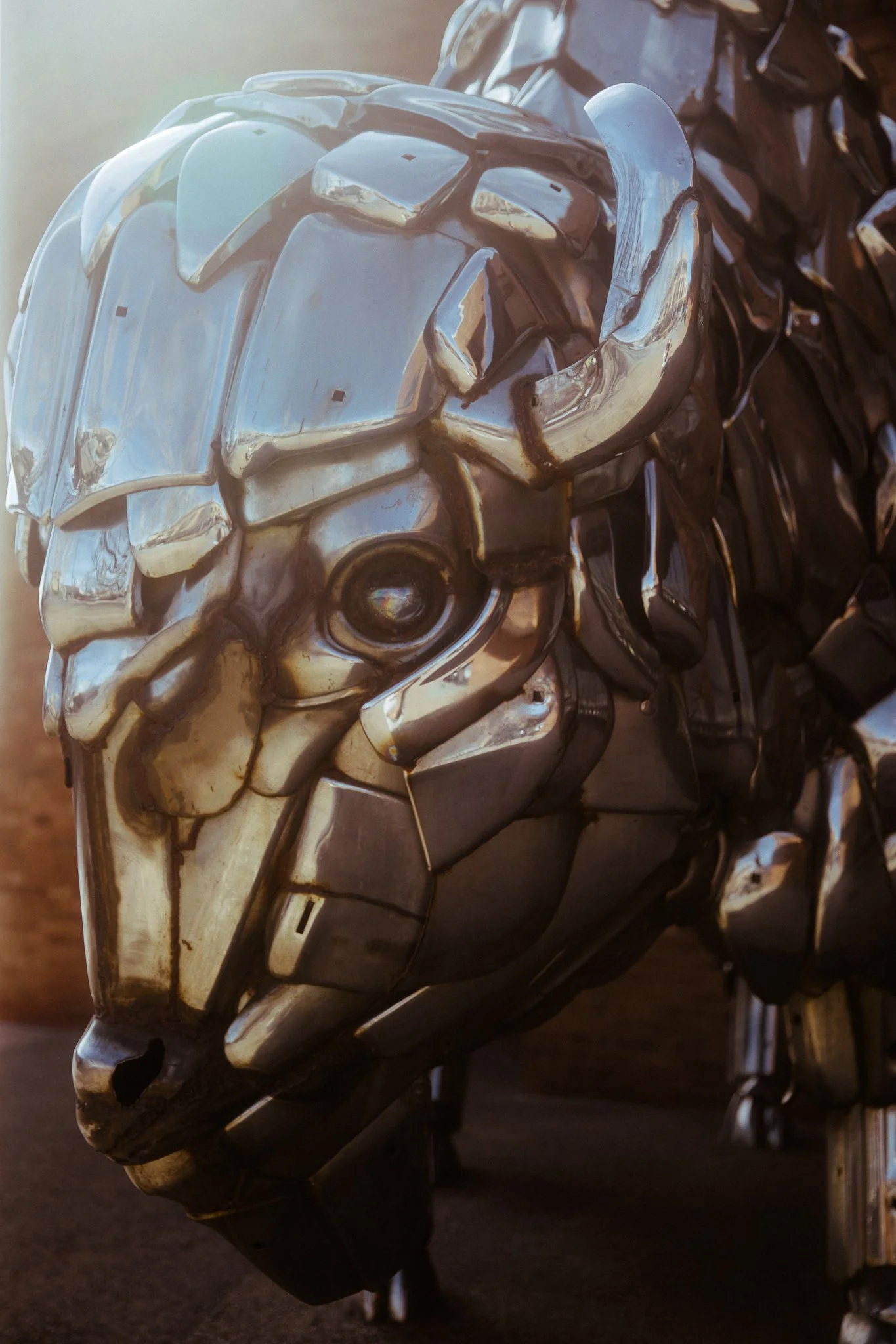 AMiller - NYT 36 Hours in Grand Junction_Assignment ID 67026660c (9 of 51).jpg