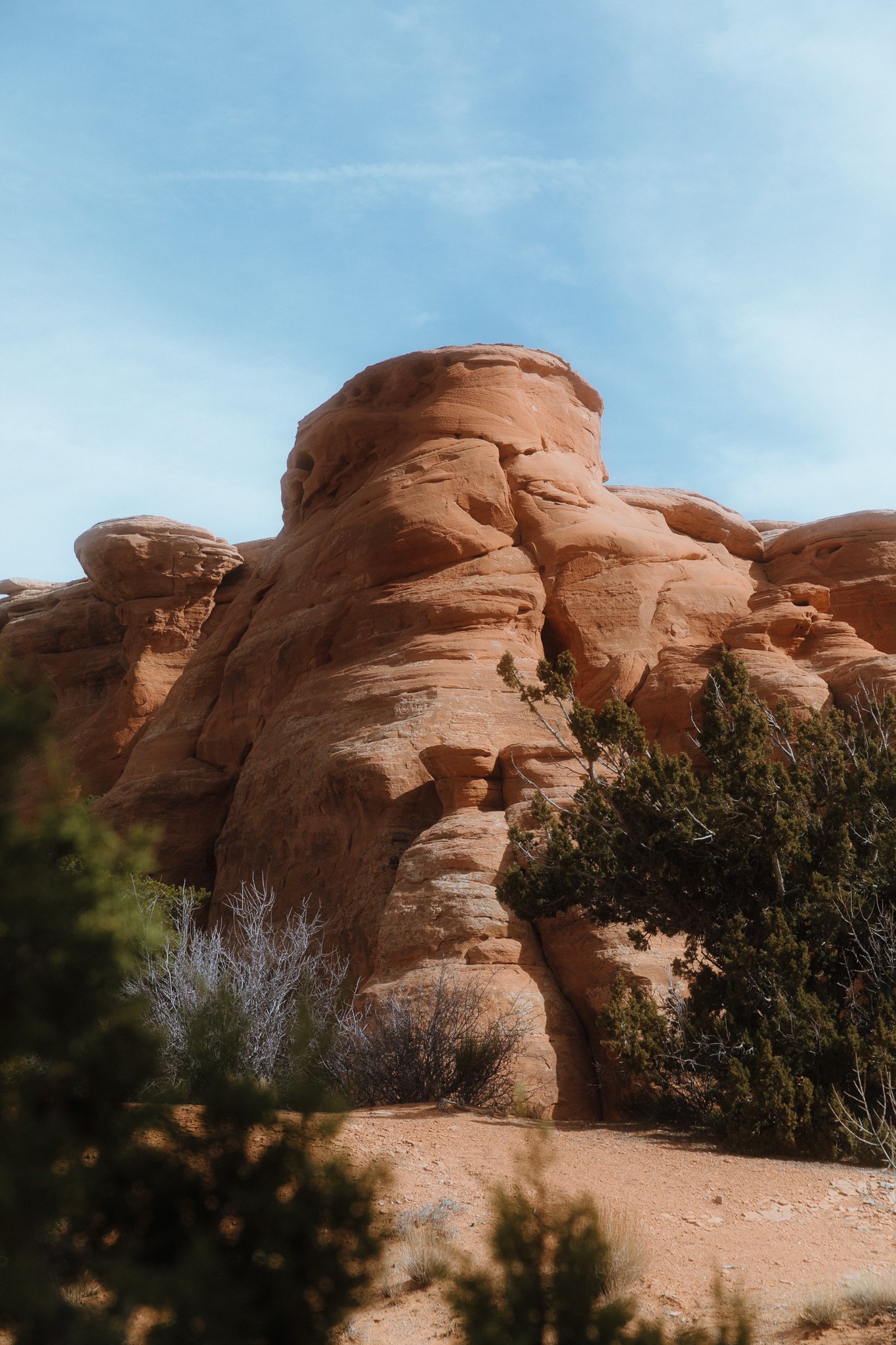 AMiller - NYT 36 Hours in Grand Junction_Assignment ID 67026660c (20 of 51).jpg