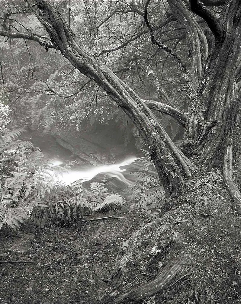 Leura Cascades, Blue Mountains NSW, Australia