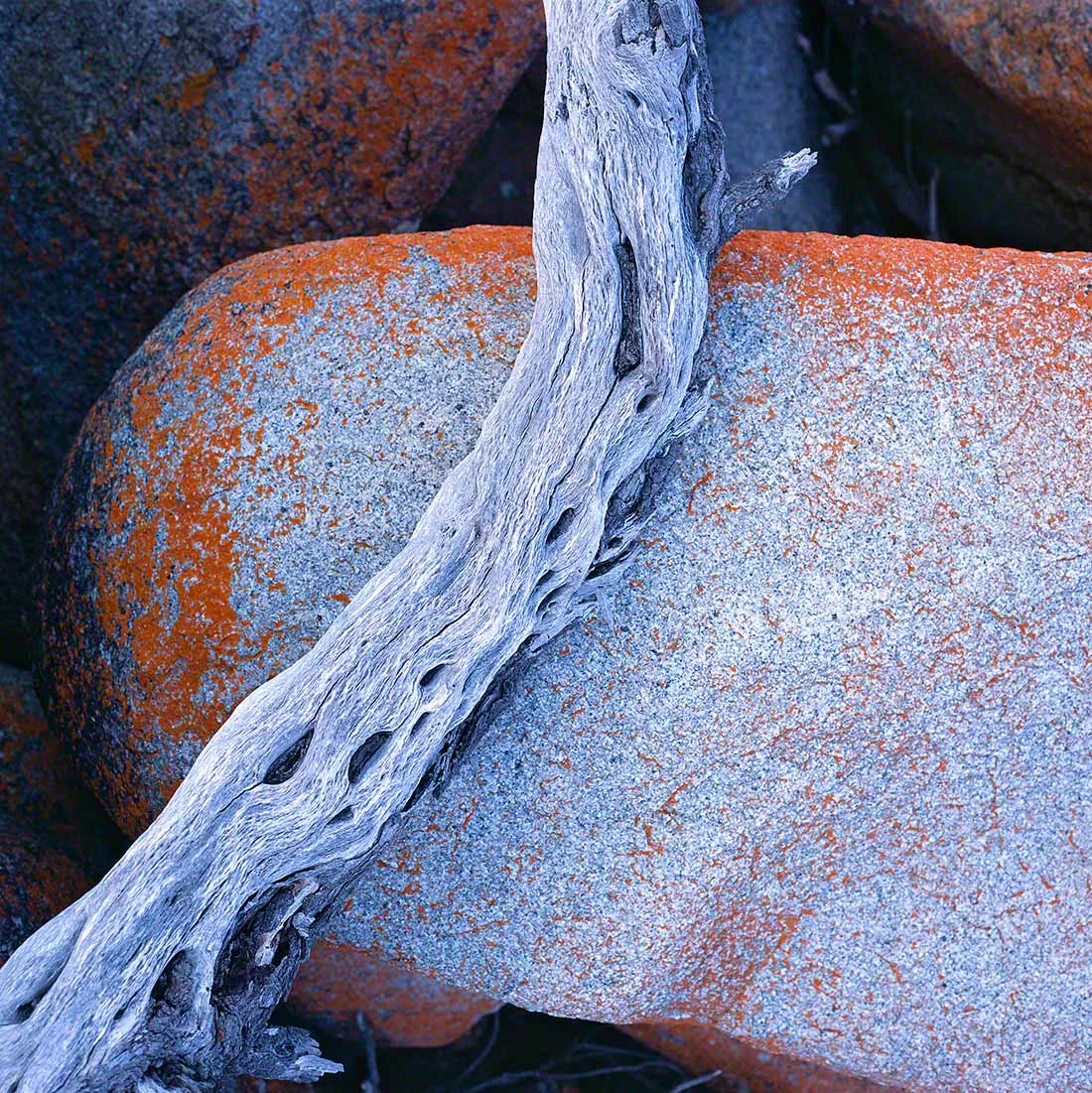 Driftwood and Granite: Binalong Bay Tasmania
