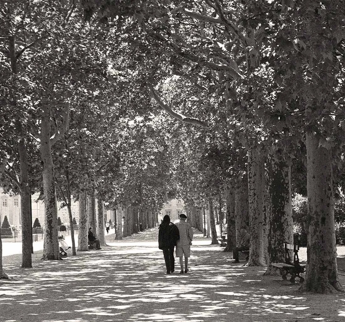 Paris in Spring
