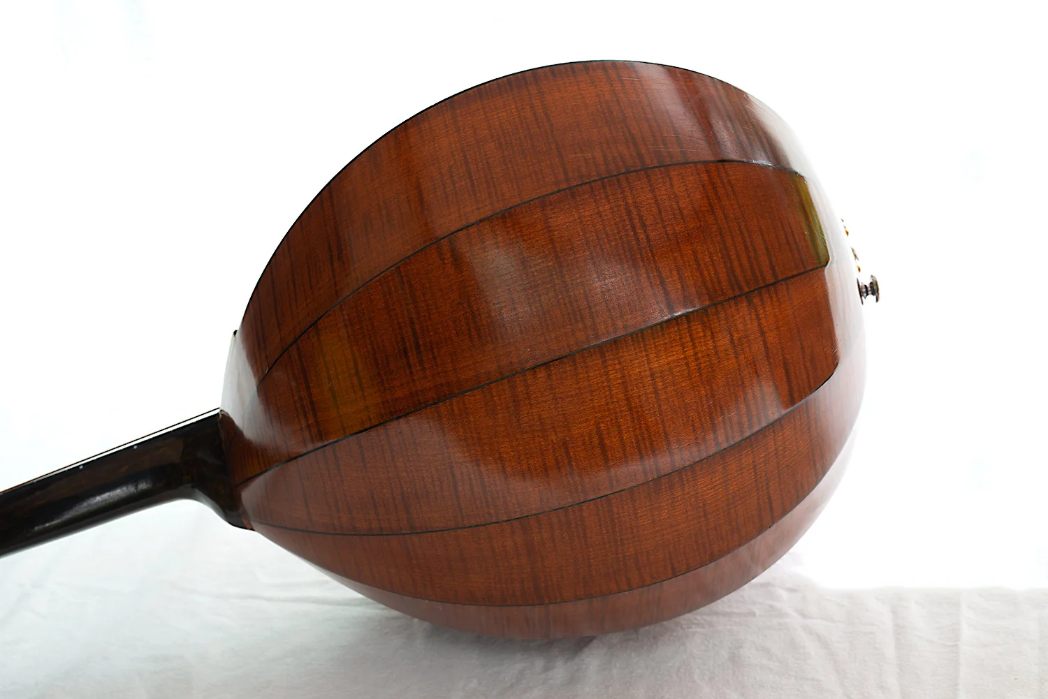 Tenor Domra - Built by Alexander Ivanovich Simakov of Russia. Rear view showing Wood Grain Detail