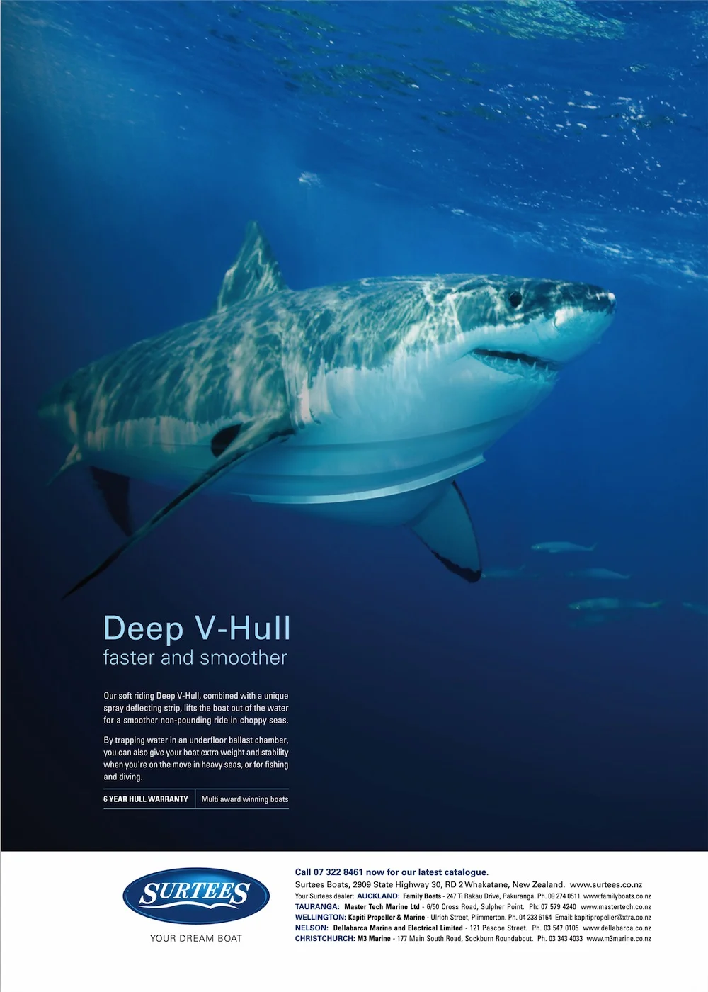 Surtees_shark copy.jpg