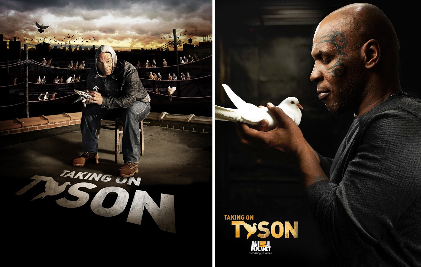 Mike Tyson / Animal Planet | photographer: Eric Ogden | set / props: Chelsea Maruskin | groomer: Natalie Young | photo editor: Laura Adams / Discovery Channel