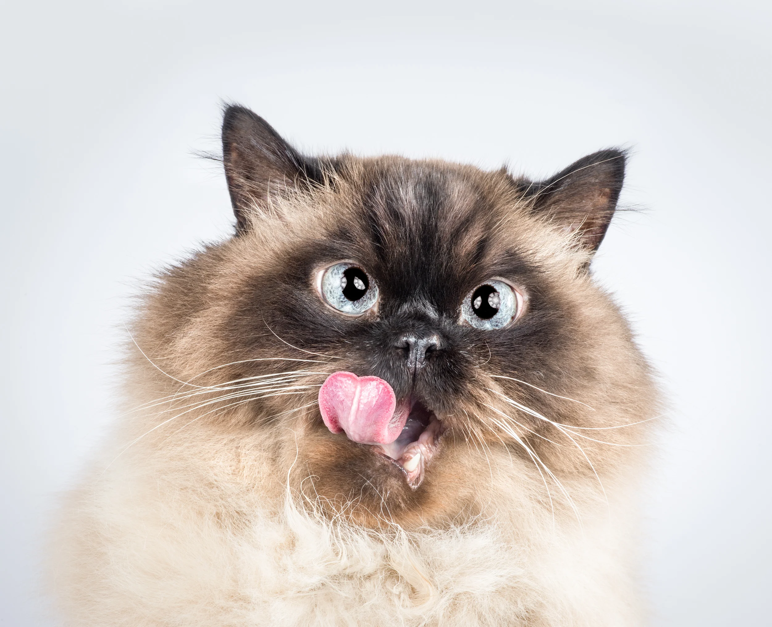 _DSC5018-Edit-Edit-Edit.jpg