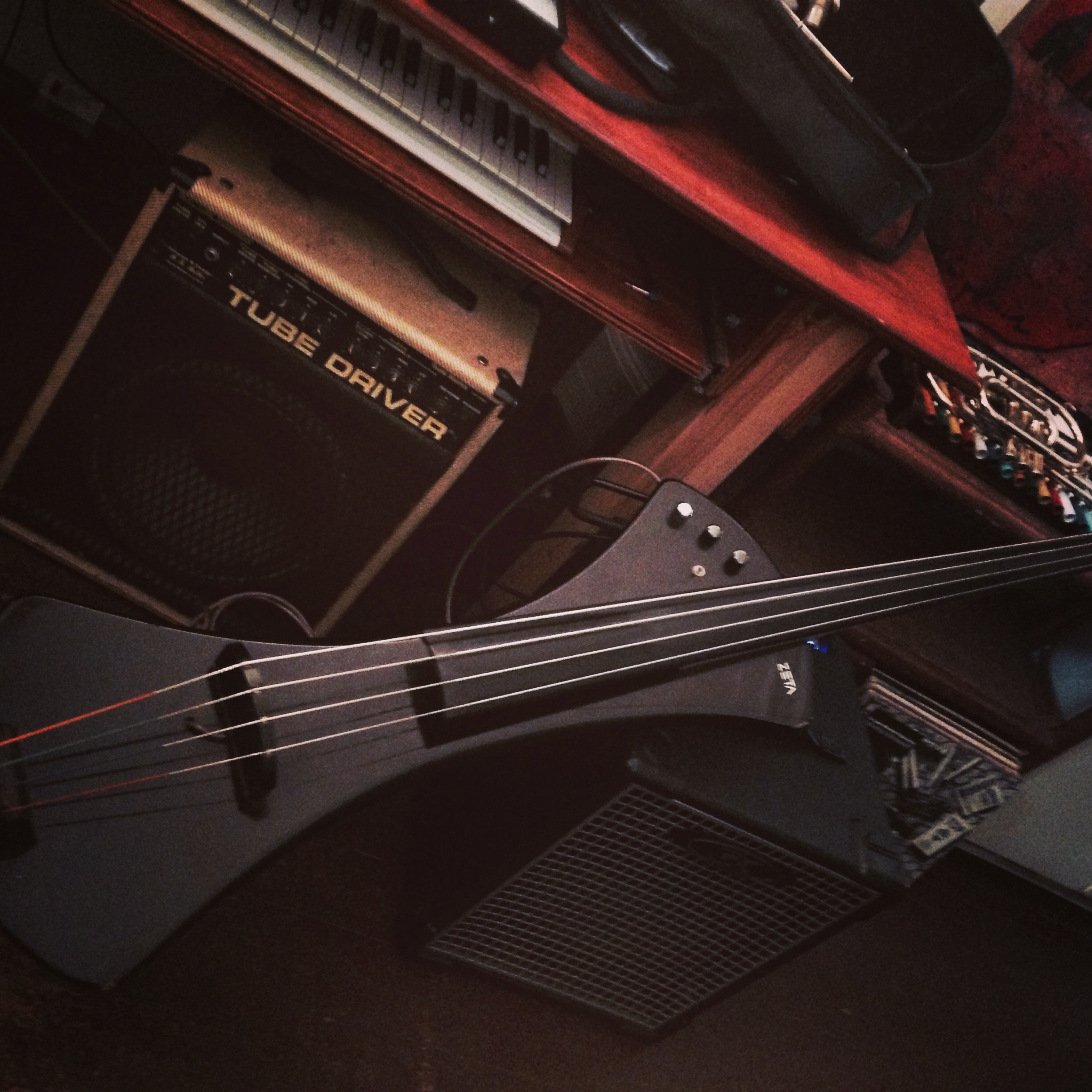 Marion Hayden's bass