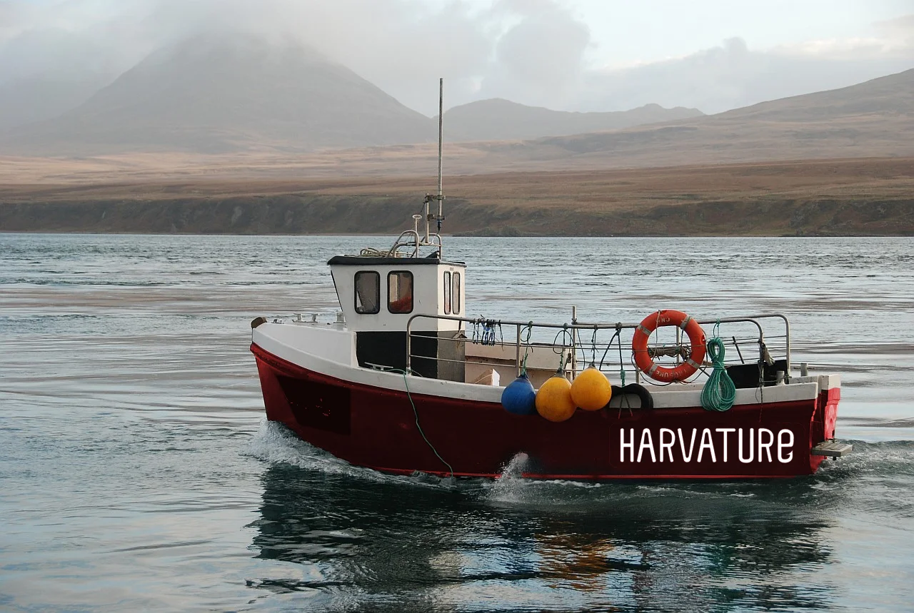 HARVATURE3.jpg