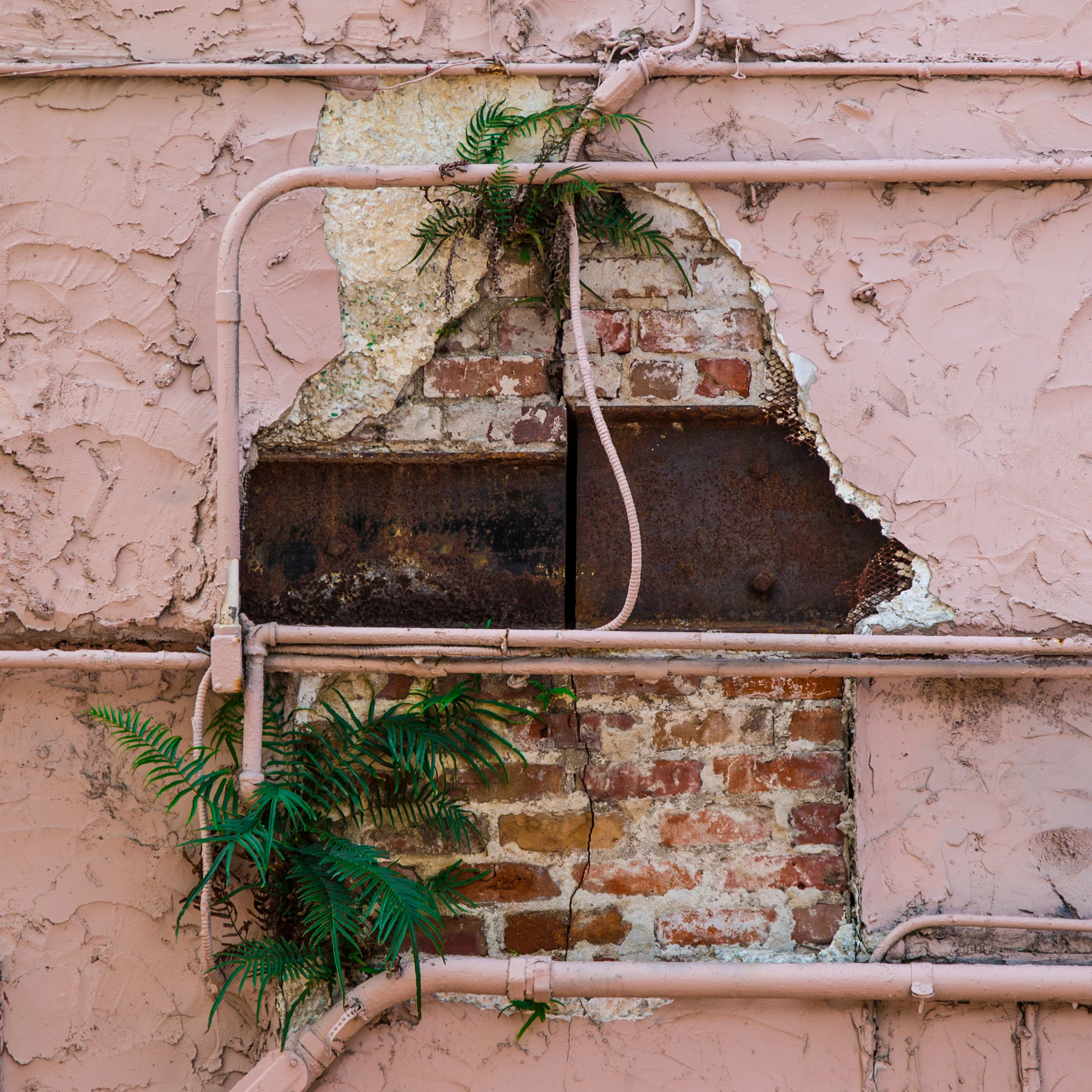 hole in the wall 2.jpg