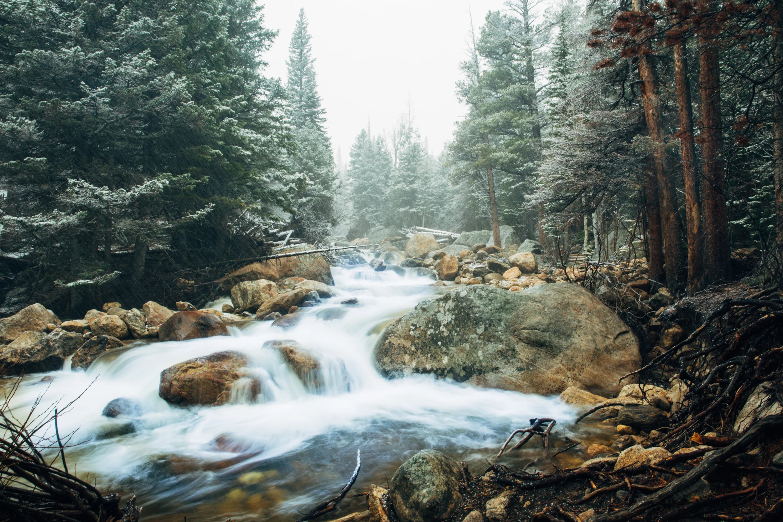 _R0A4660_COLORADO.jpg