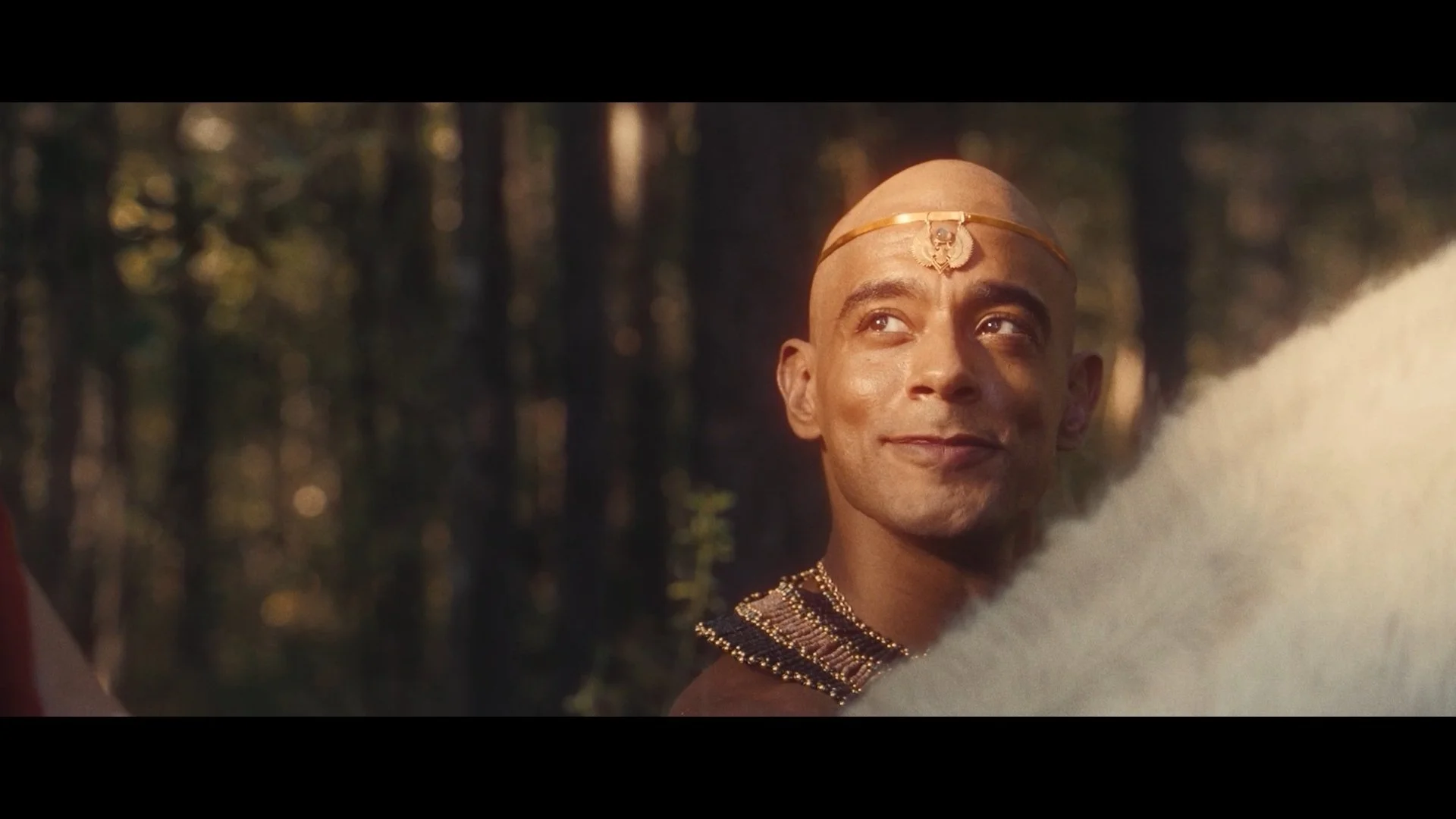 Still 2026-01-16 131349_1.313.1.jpg