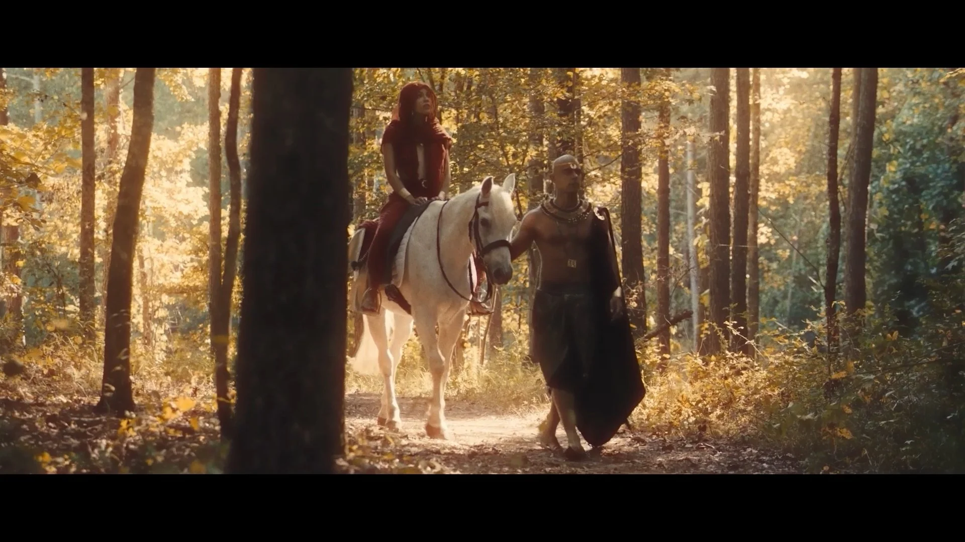 Still 2026-01-16 131349_1.308.1.jpg