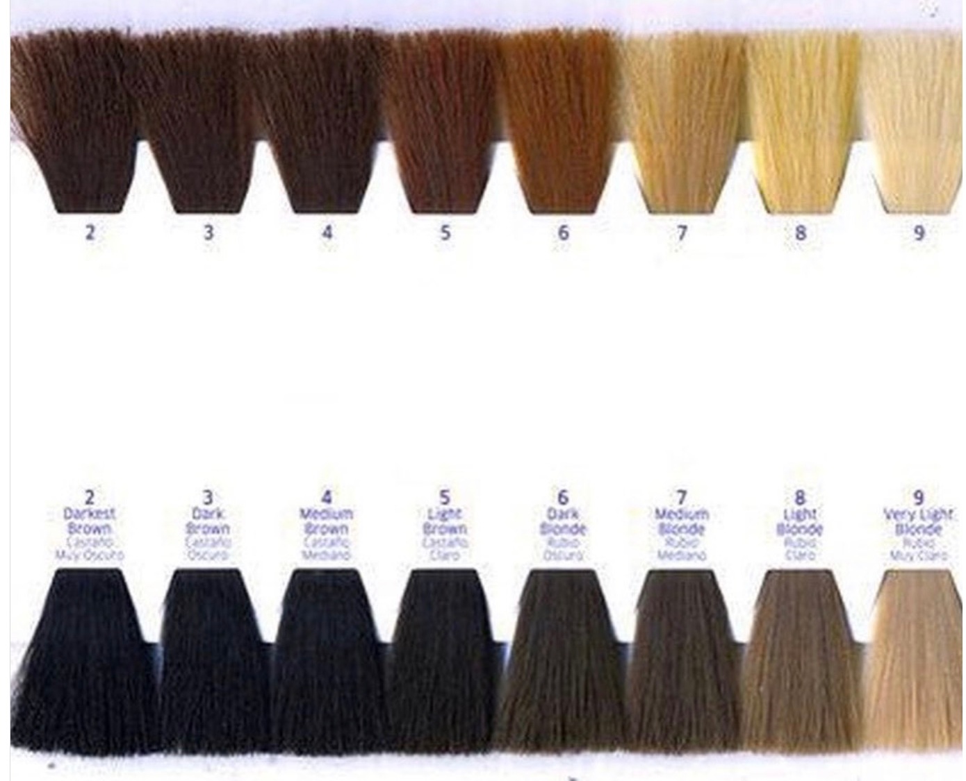 Level 9 Hair Color Chart