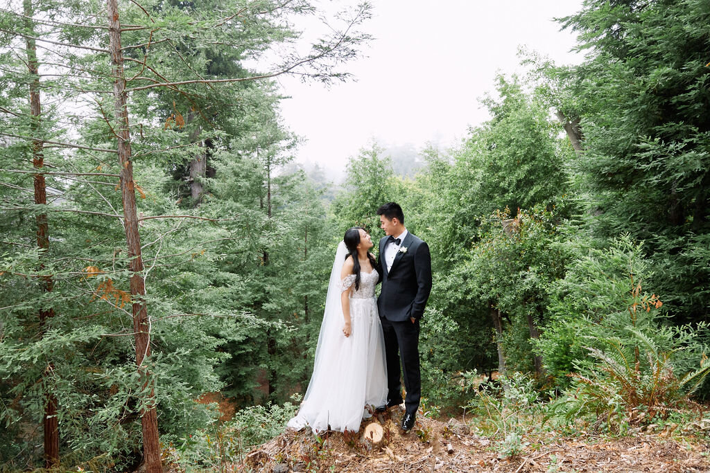 bride groom big sur redwoods