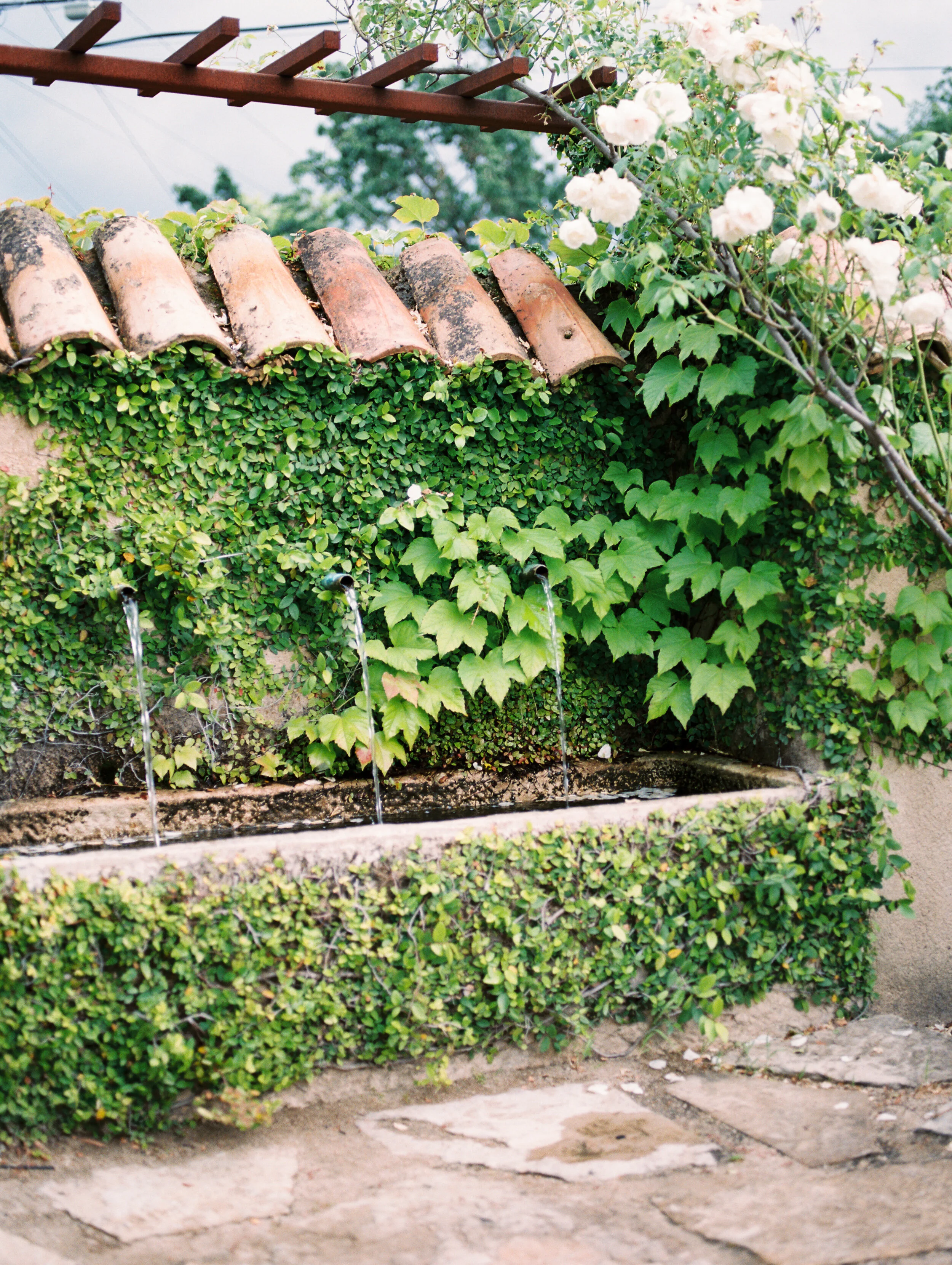 ErikaandEvan-Sonoma-Wedding-Andrew-and-Ada-Photography-148.JPG