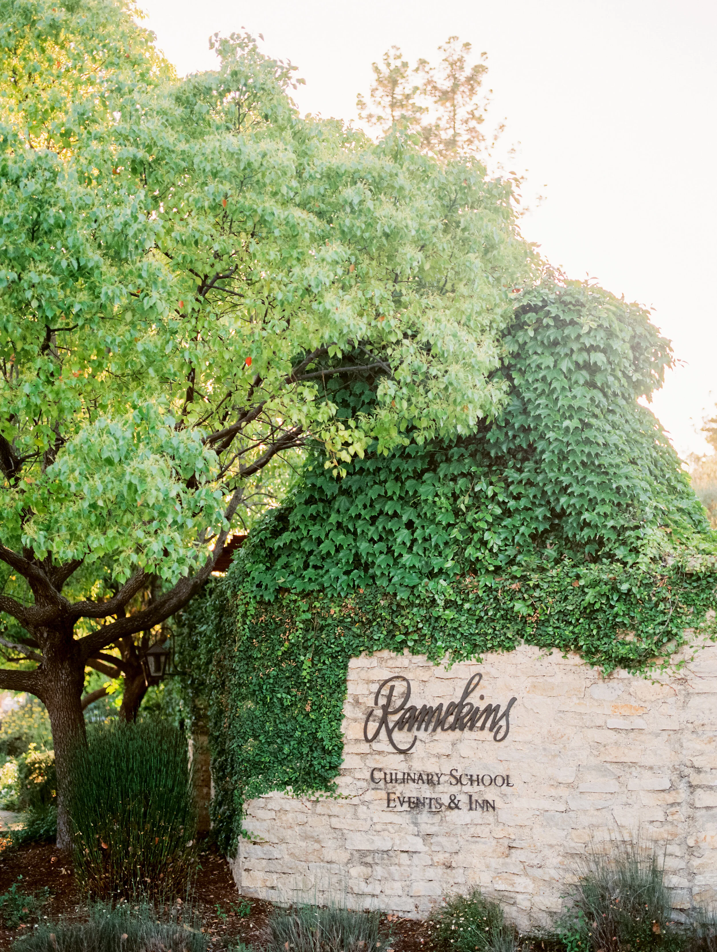 ErikaandEvan-Sonoma-Wedding-Andrew-and-Ada-Photography-131.JPG