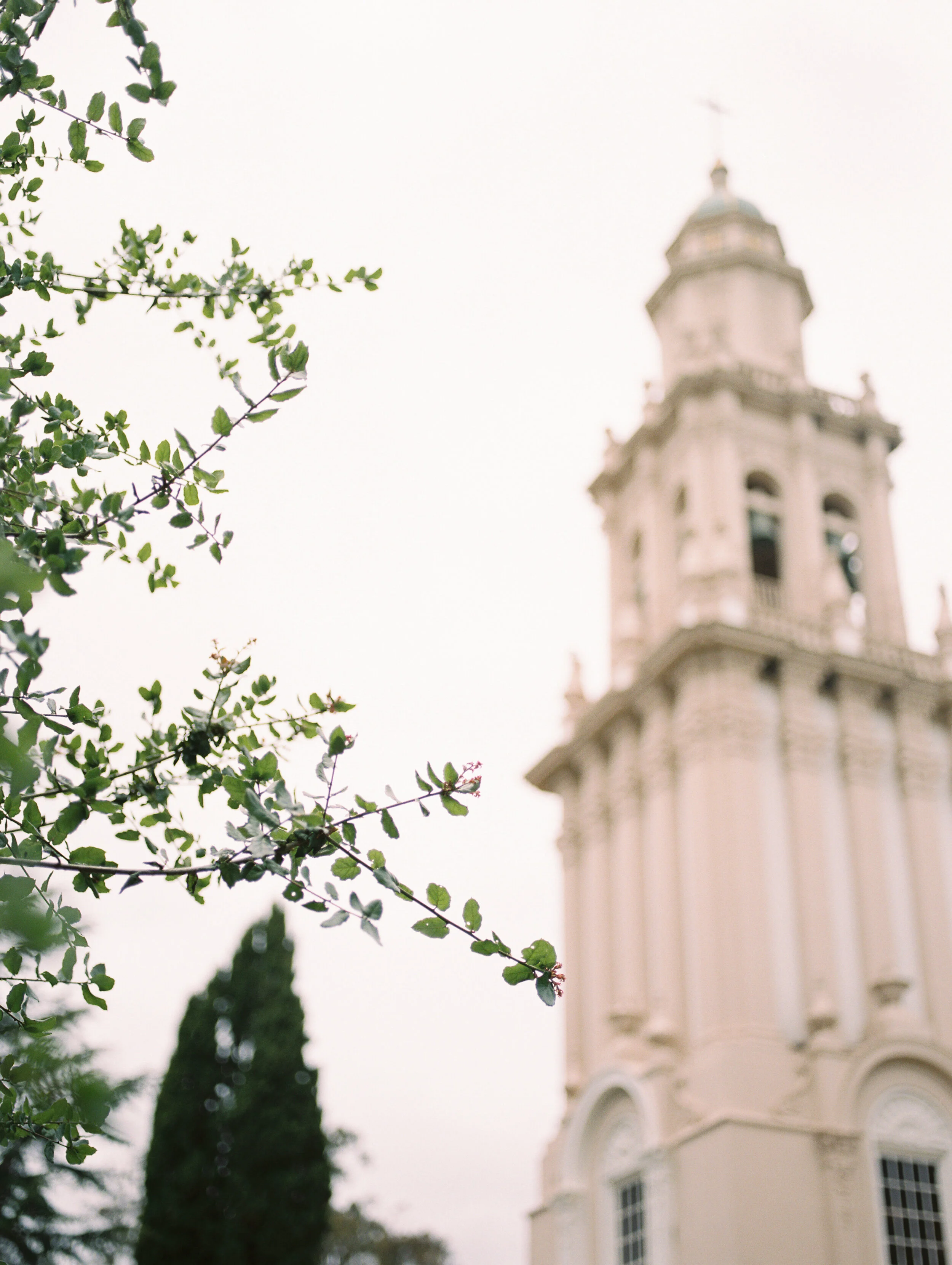 ErikaandEvan-Sonoma-Wedding-Andrew-and-Ada-Photography-115.JPG