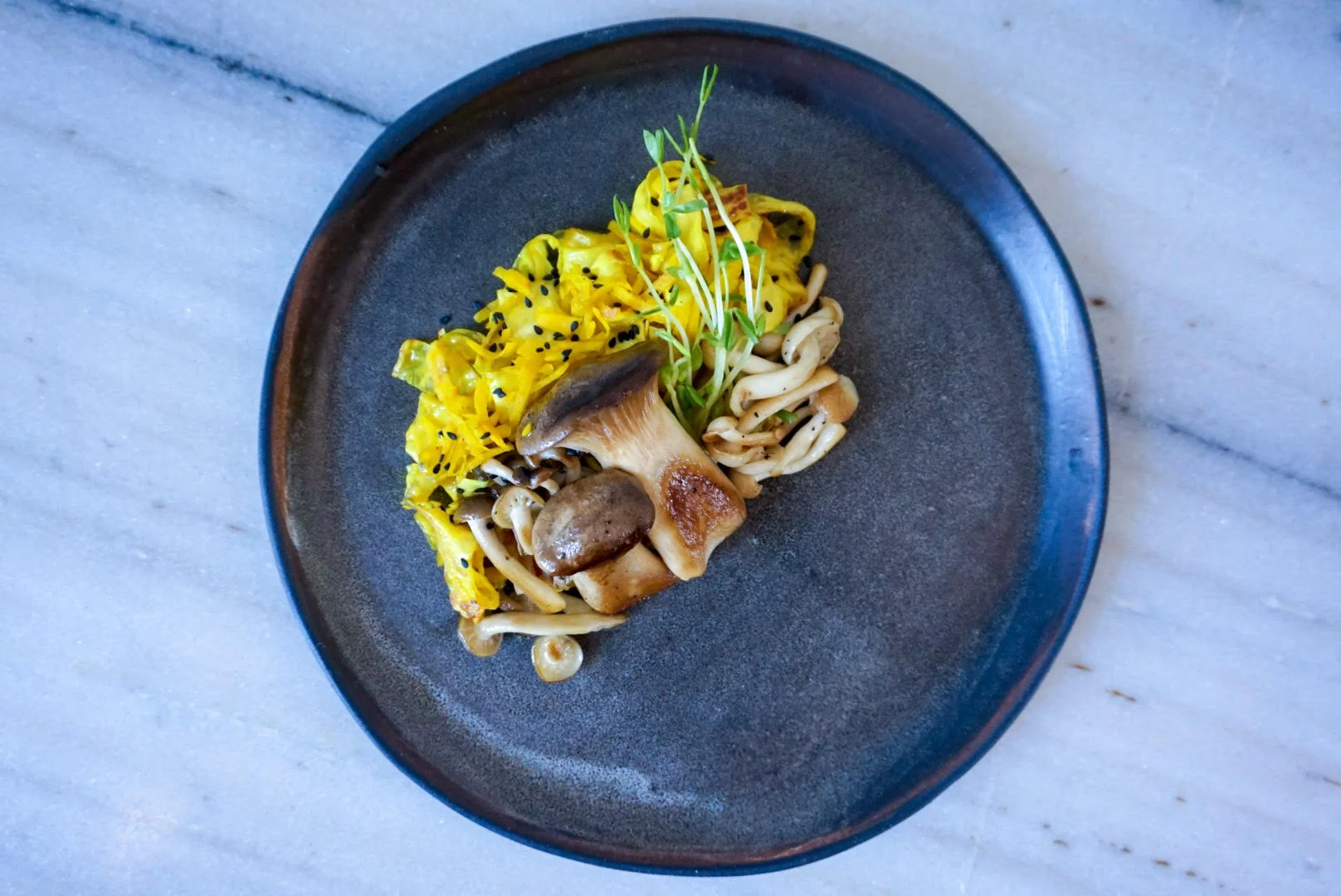 Wild Mushrooms with Golden Yuba Noodles