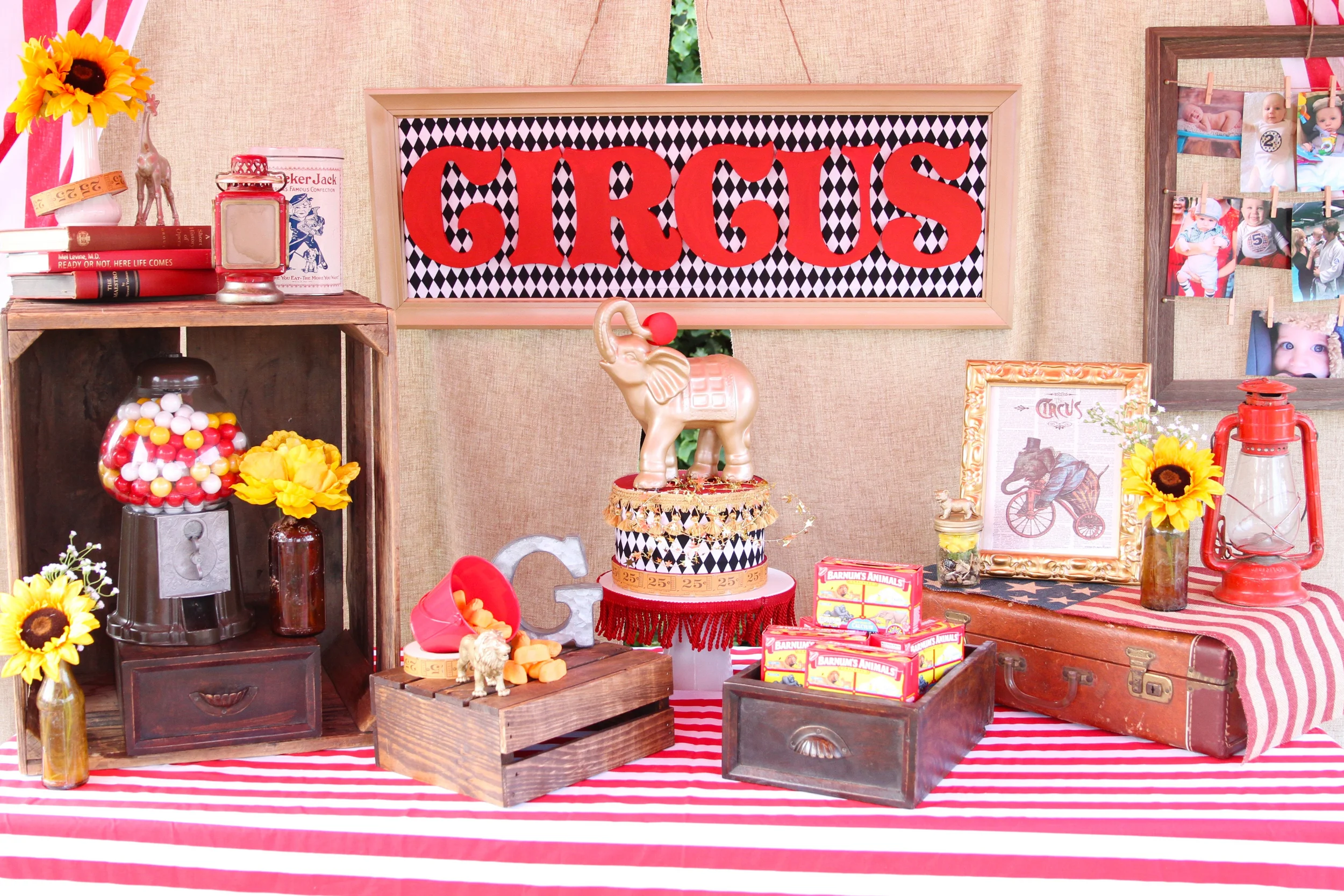 Cirque d'Amis