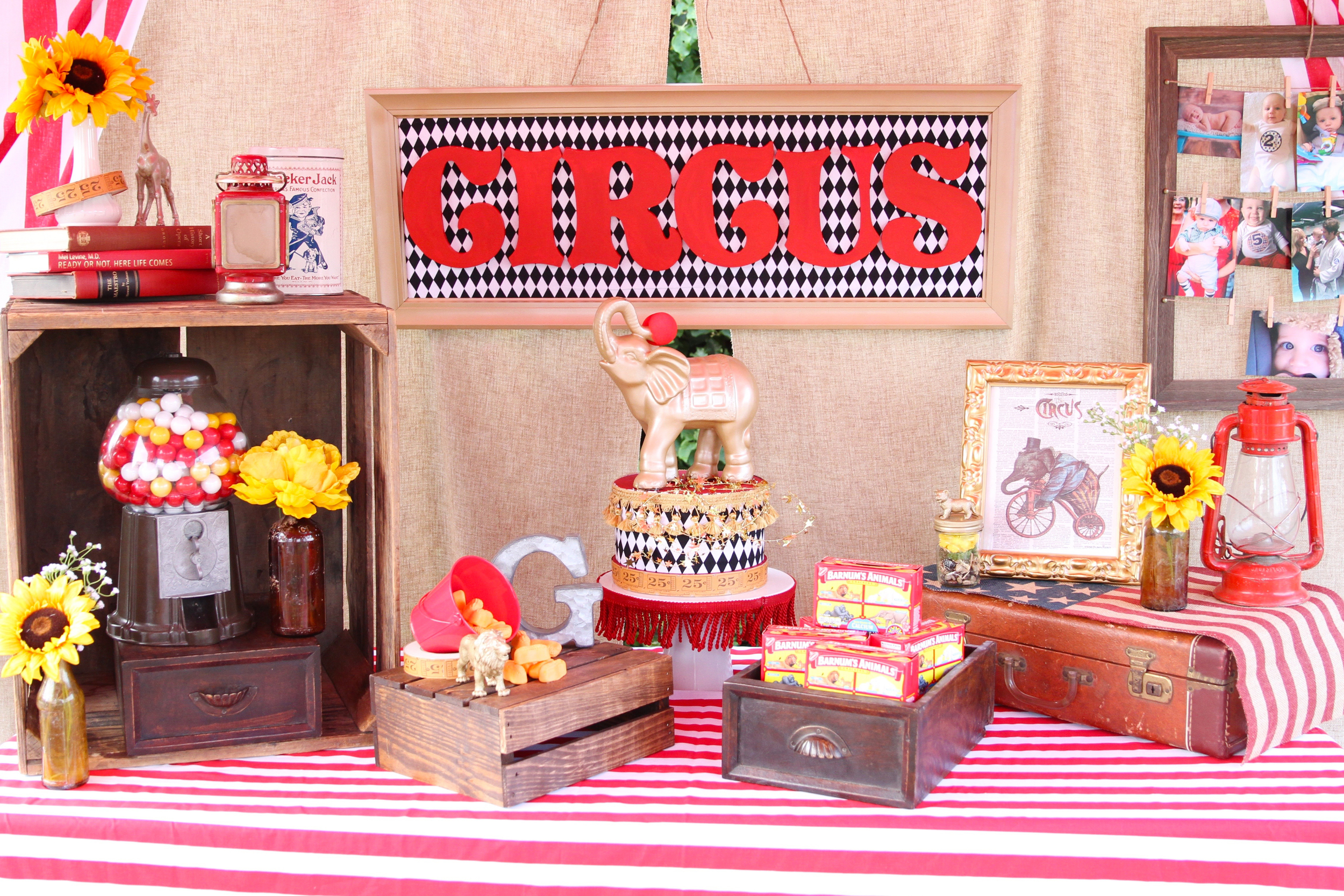 Copy of The best party on Earth! A perfectly executed circus themed party - Prepackaged and ready to rent from @inJOYtheParty!