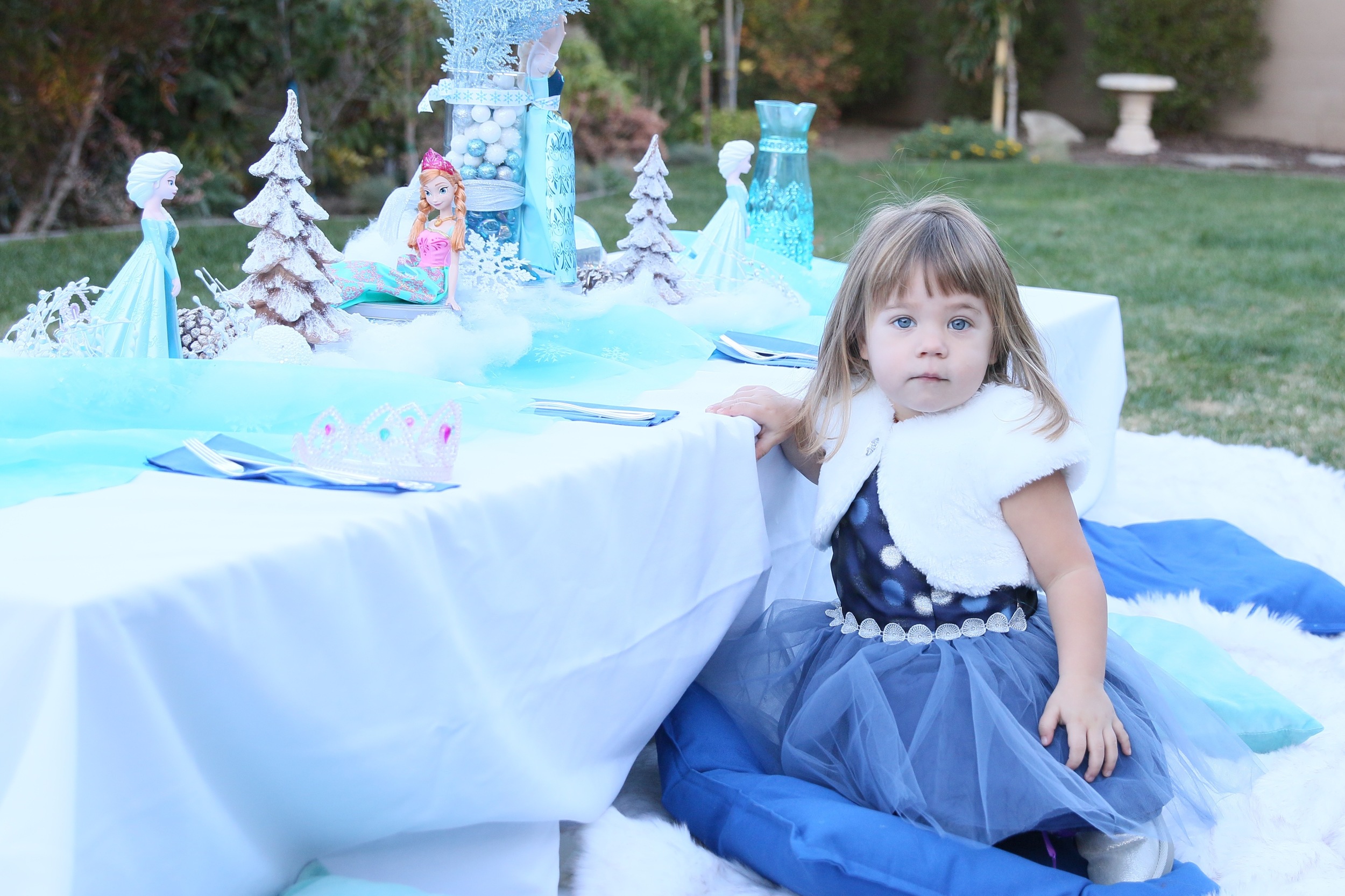 Copy of An Ice Princess FROZEN Party - Decor for rent! @inJOYtheParty