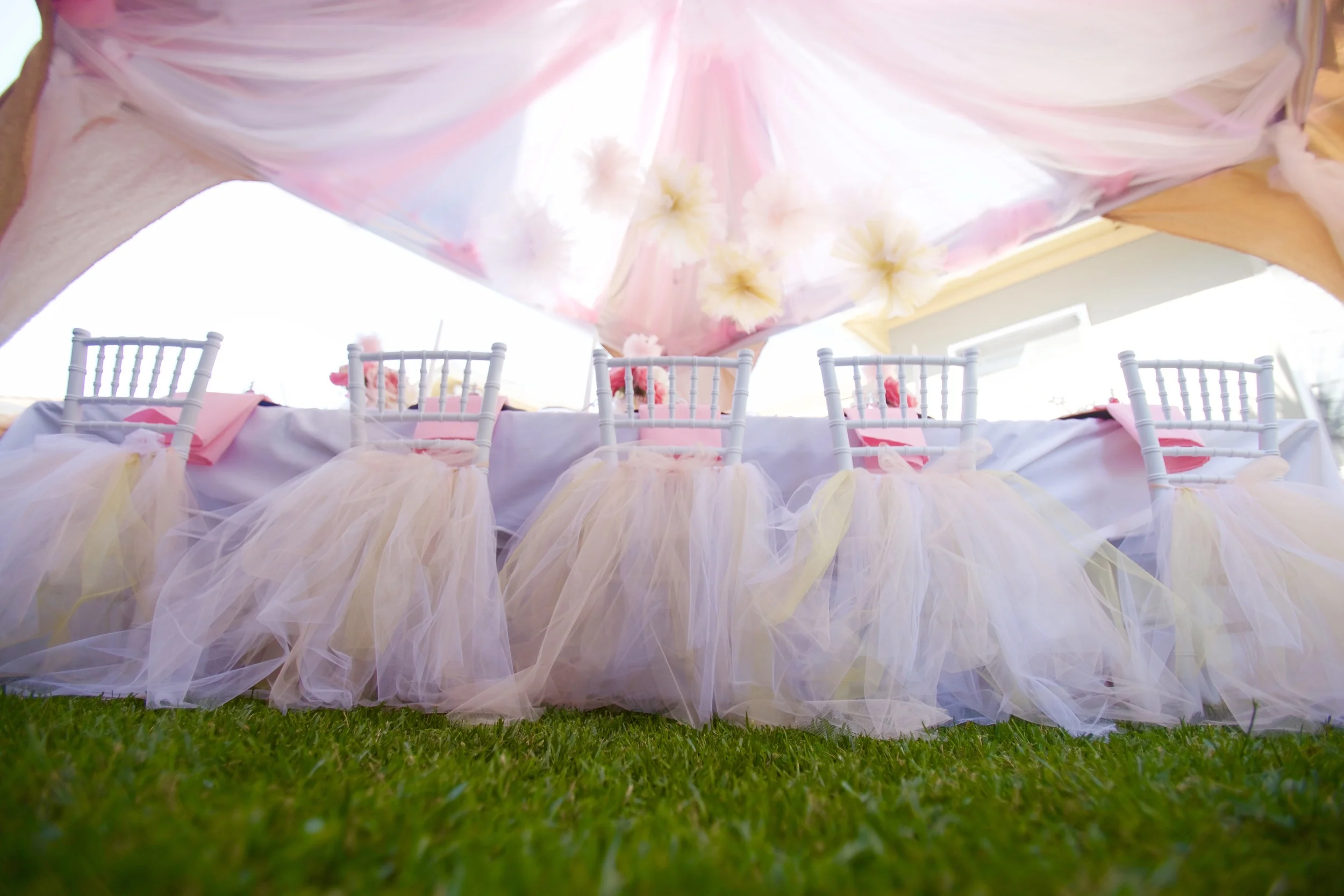 Tutus & Tiaras Princess