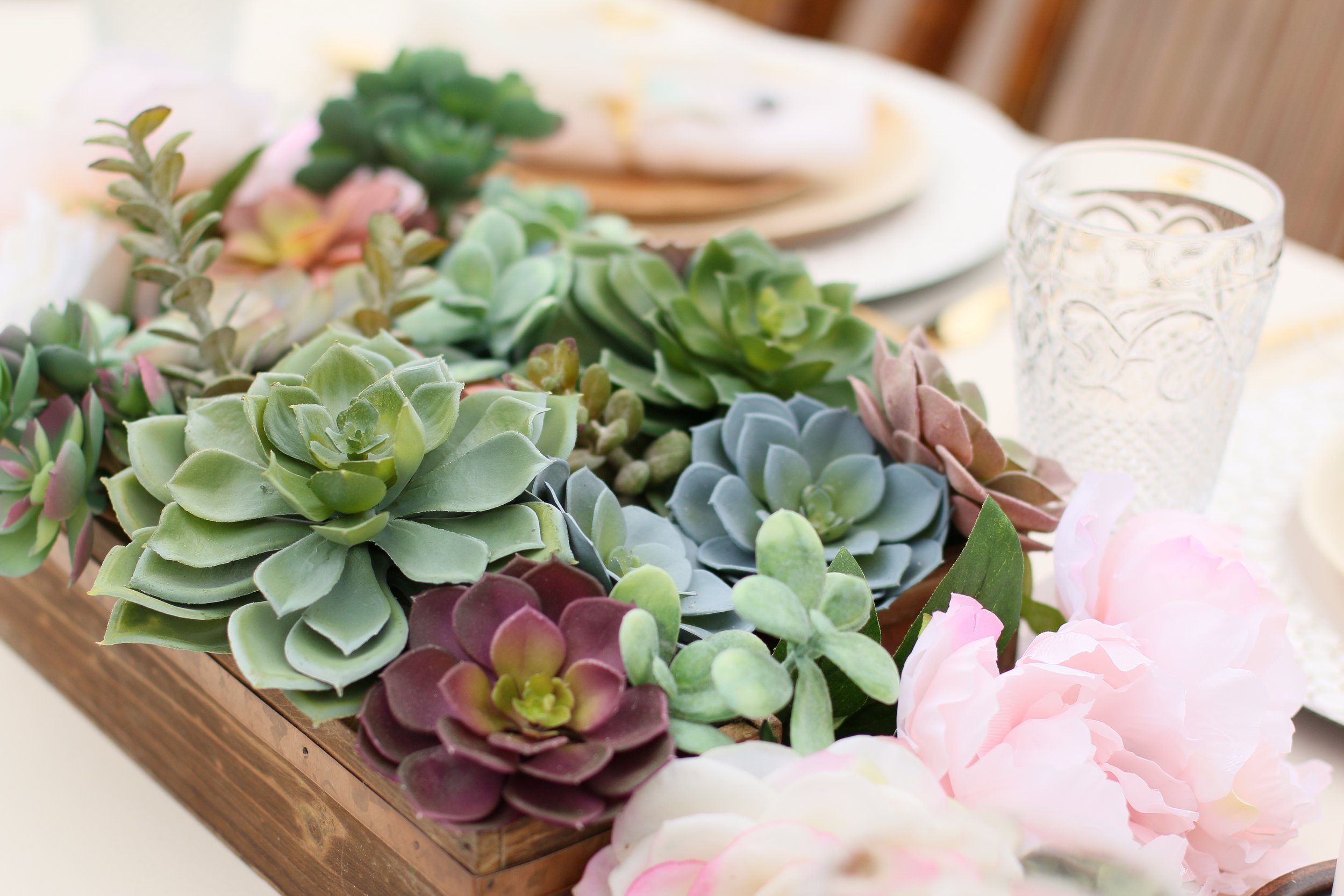 Copy of A gorgeous pre-curated rental collection with succulents, pops of blush, dreamcatchers, and rustic wood accents. Make it yours for your next baby or bridal shower! @inJOYtheParty