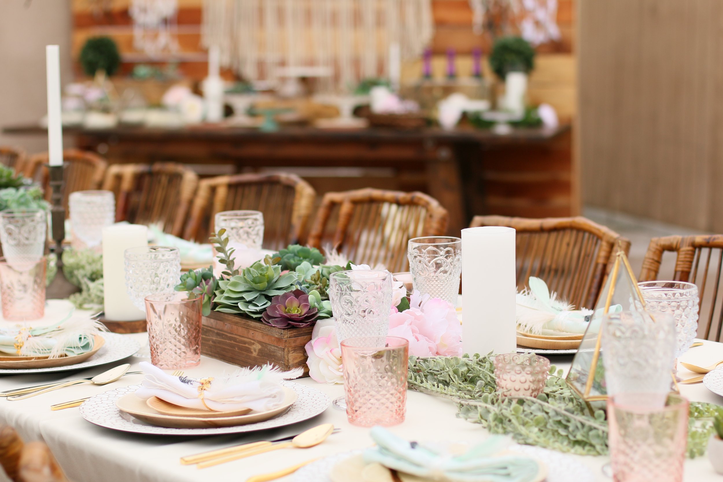 Copy of A gorgeous pre-curated rental collection with succulents, pops of blush, dreamcatchers, and rustic wood accents. Make it yours for your next baby or bridal shower! @inJOYtheParty