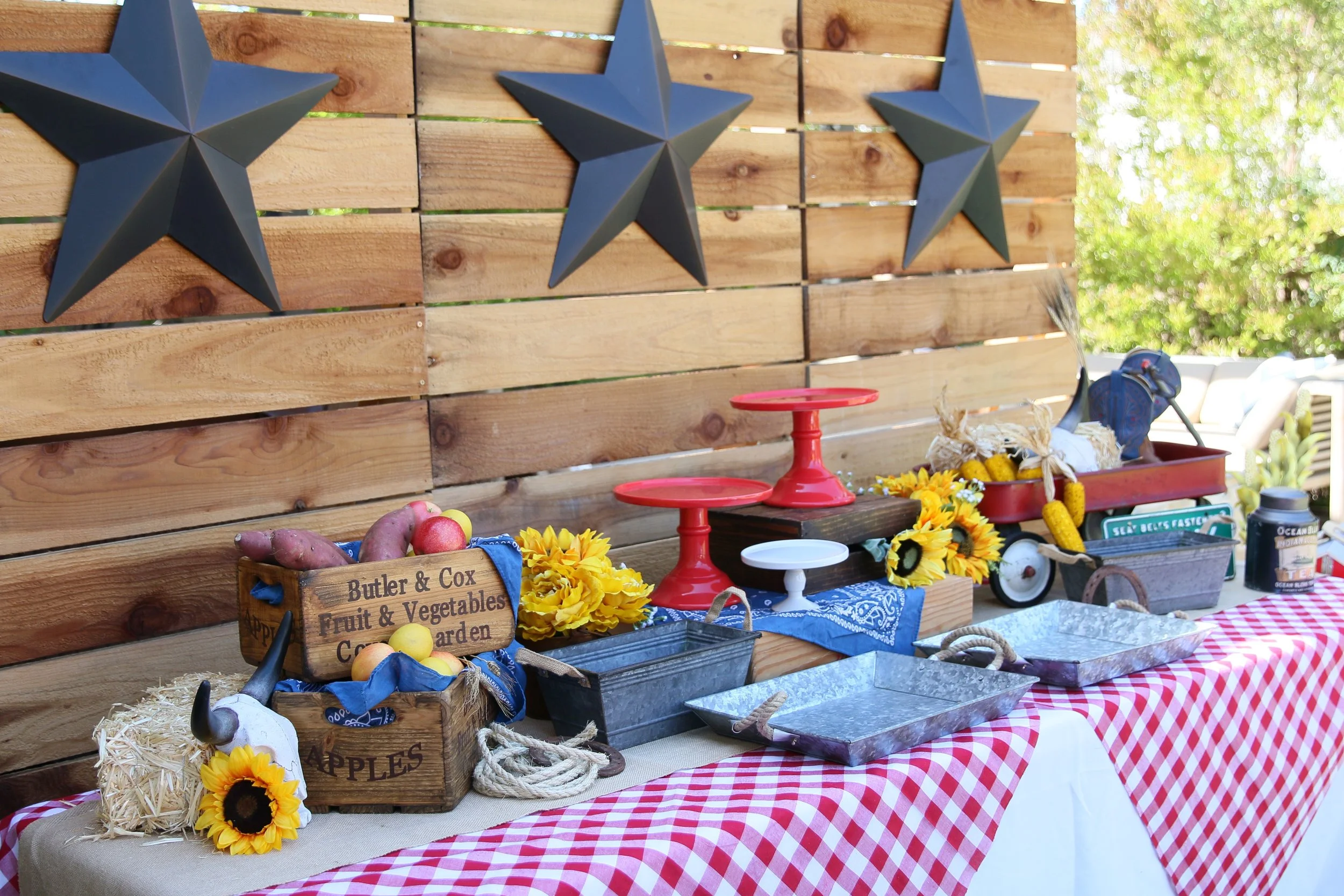 Wood Planked Backdrop