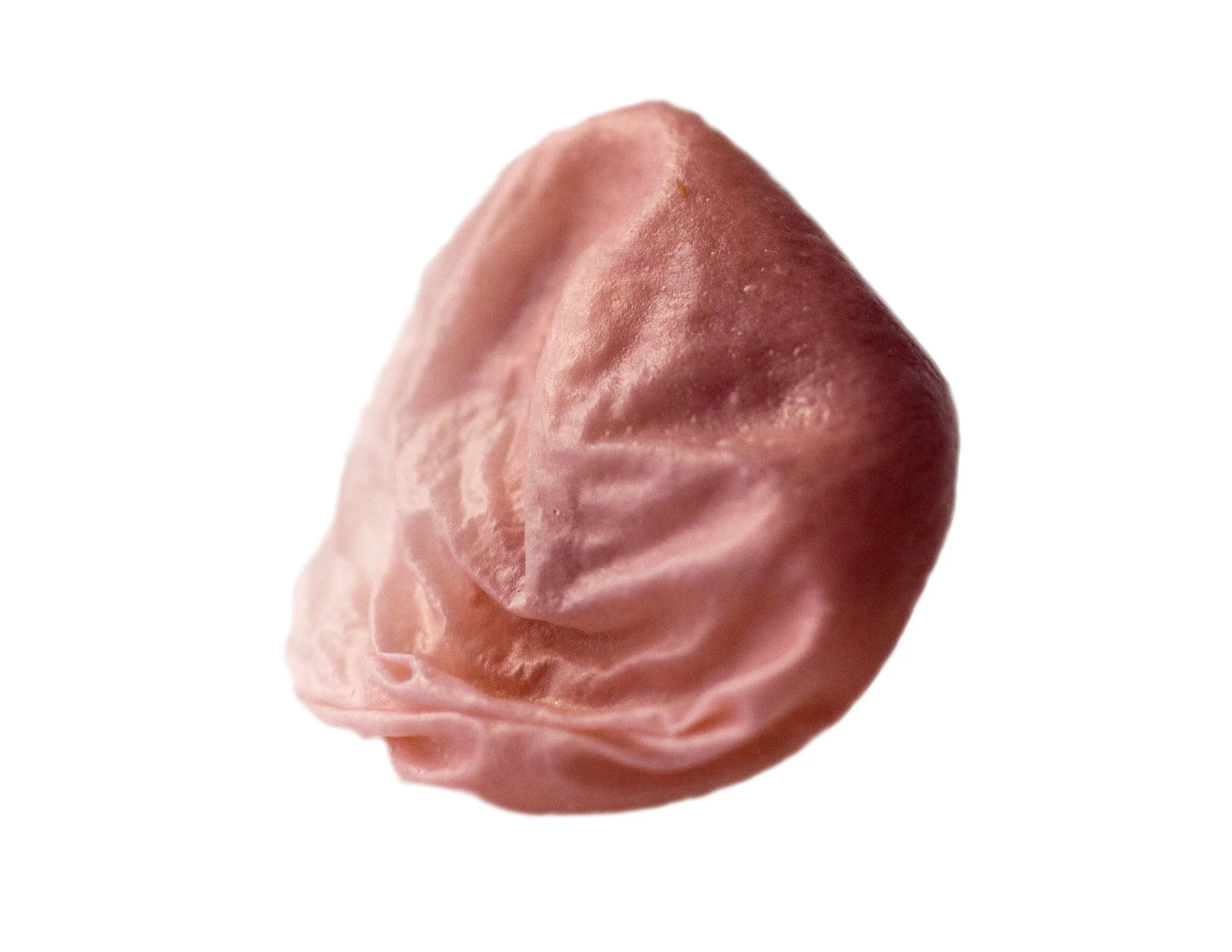 Femina Bulla Est #5