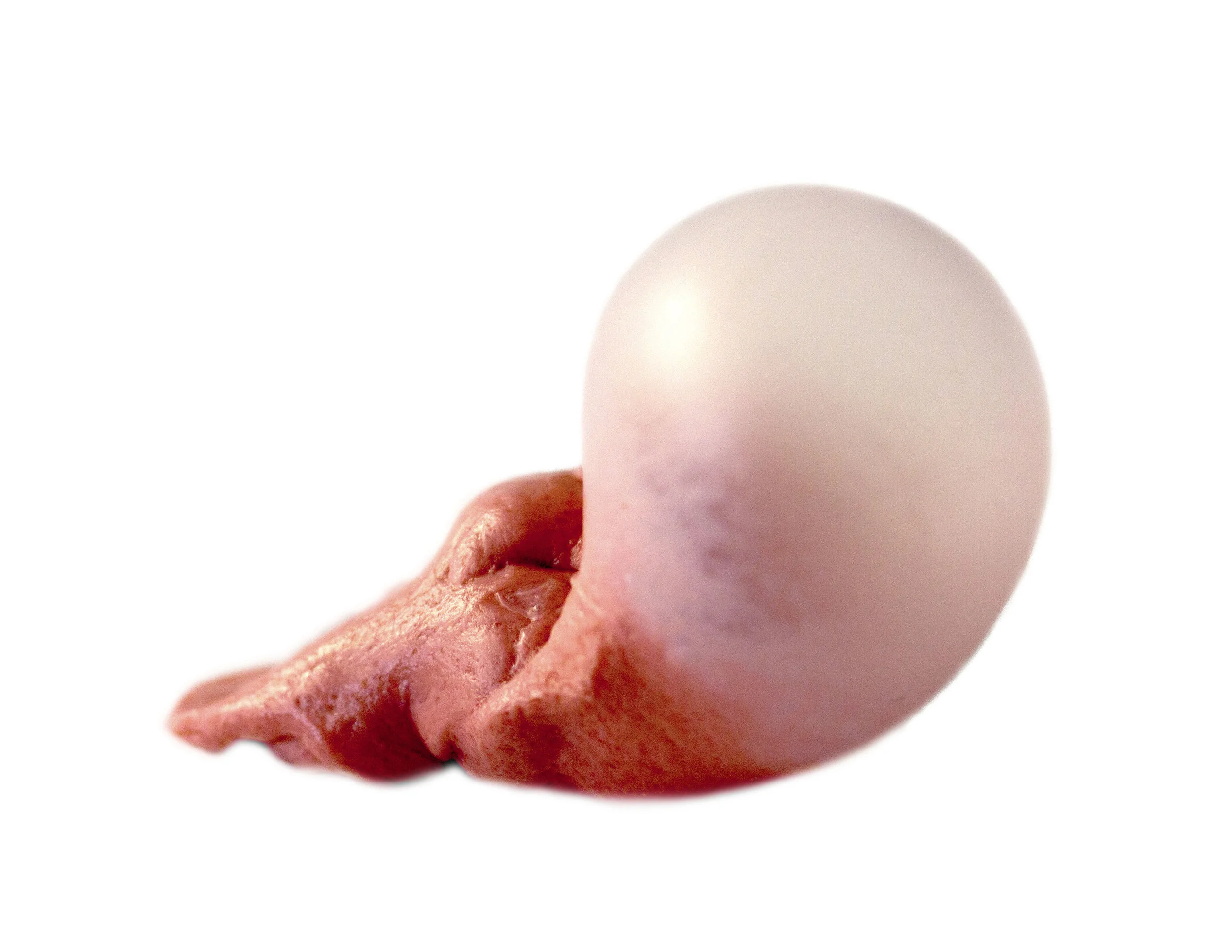 Femina Bulla Est #7