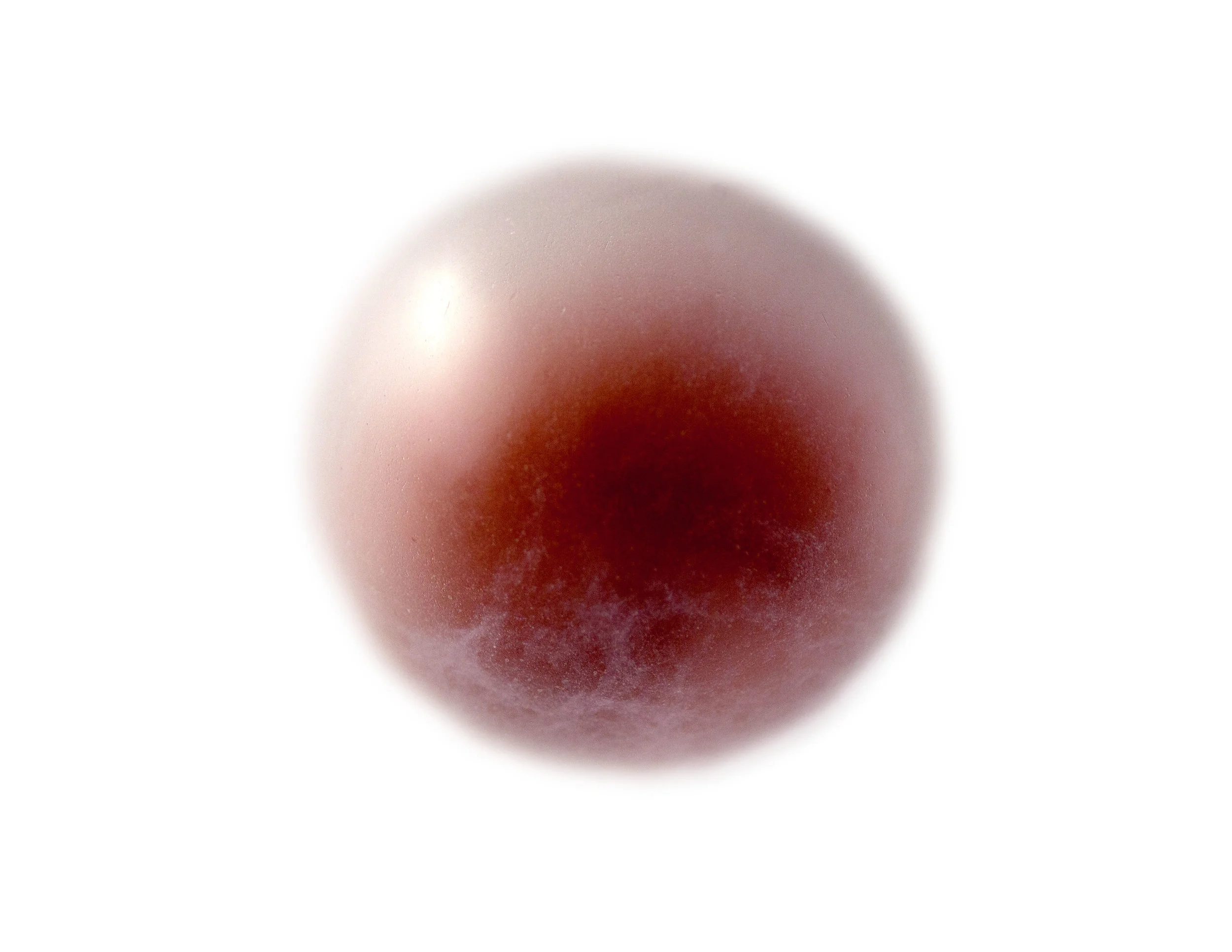 Femina Bulla Est #8