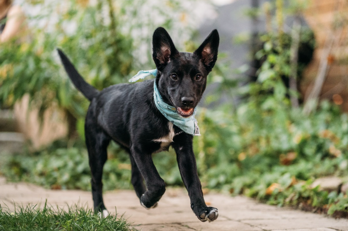 Screenshot 2026-04-11 at 15.49.22.png