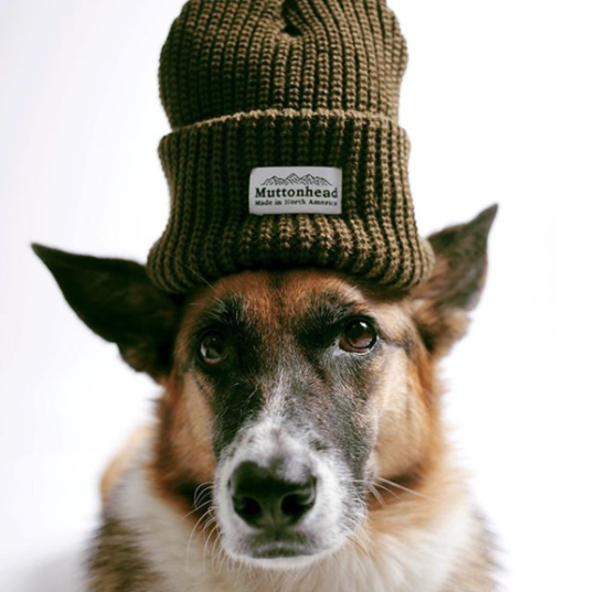 Image Credit: https://www.muttonheadstore.com