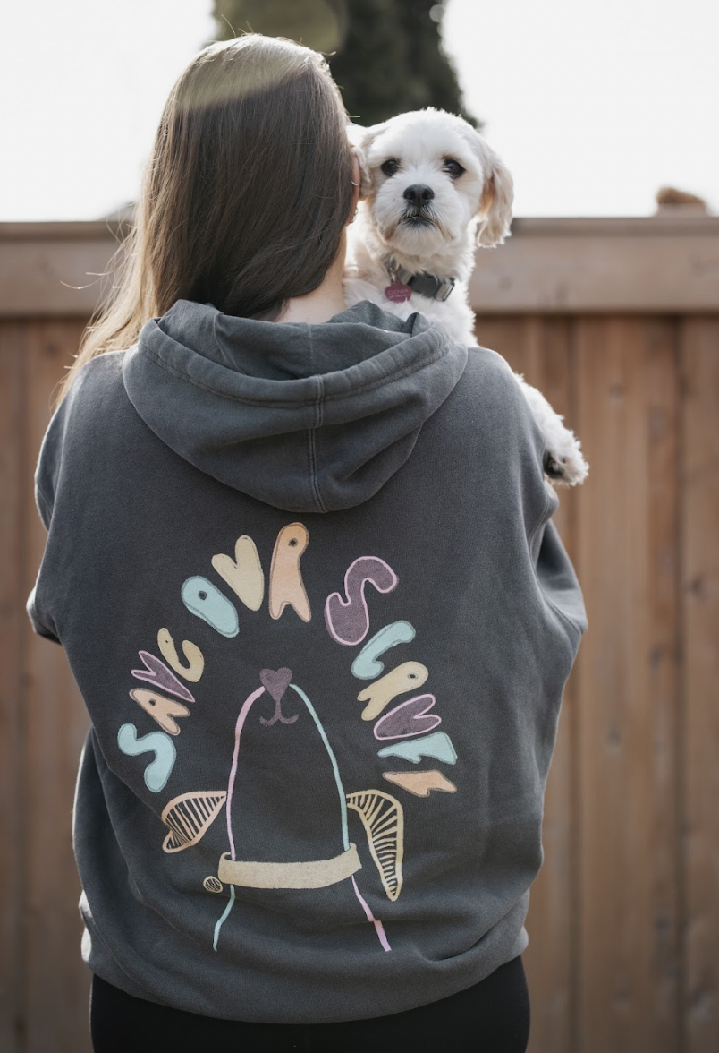 hoodie_3.png