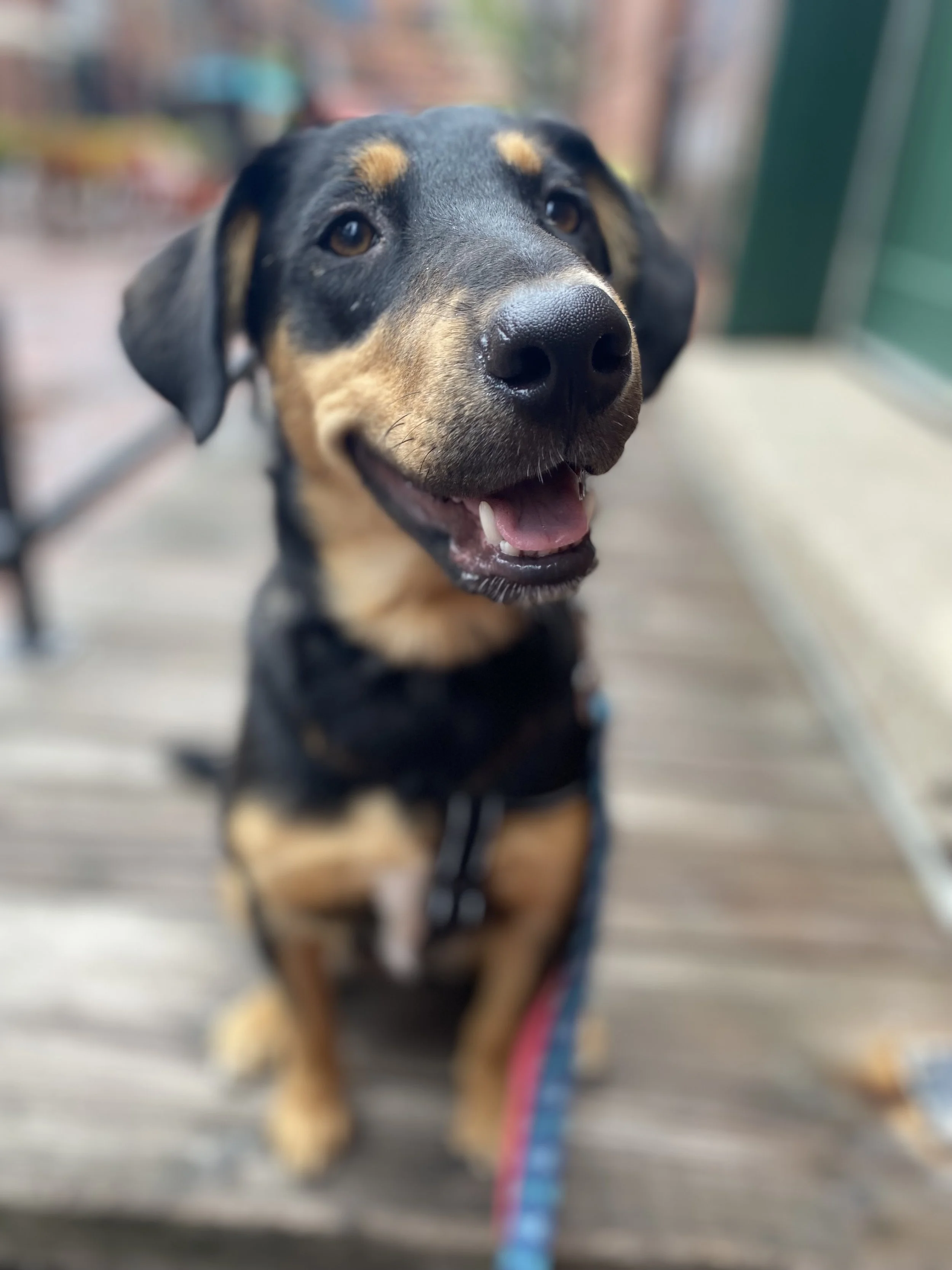 IMG_0356 - G Samuel.jpeg