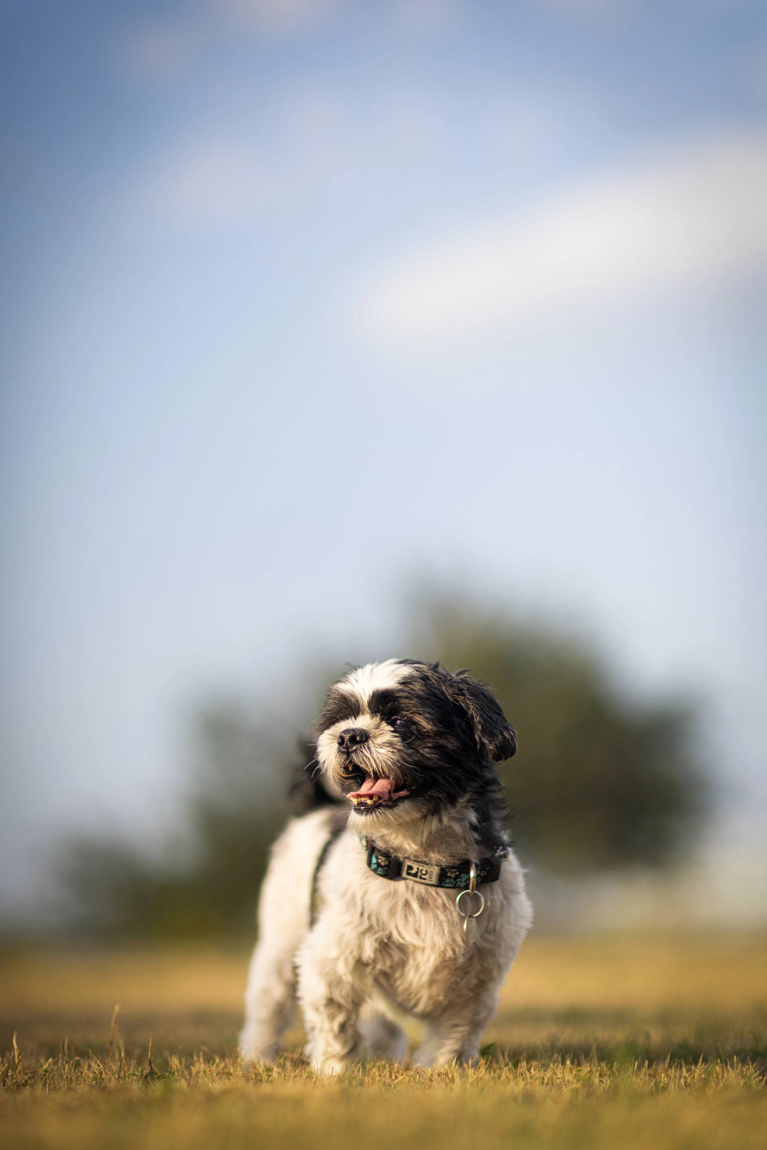 _MG_5693-Edit.jpeg