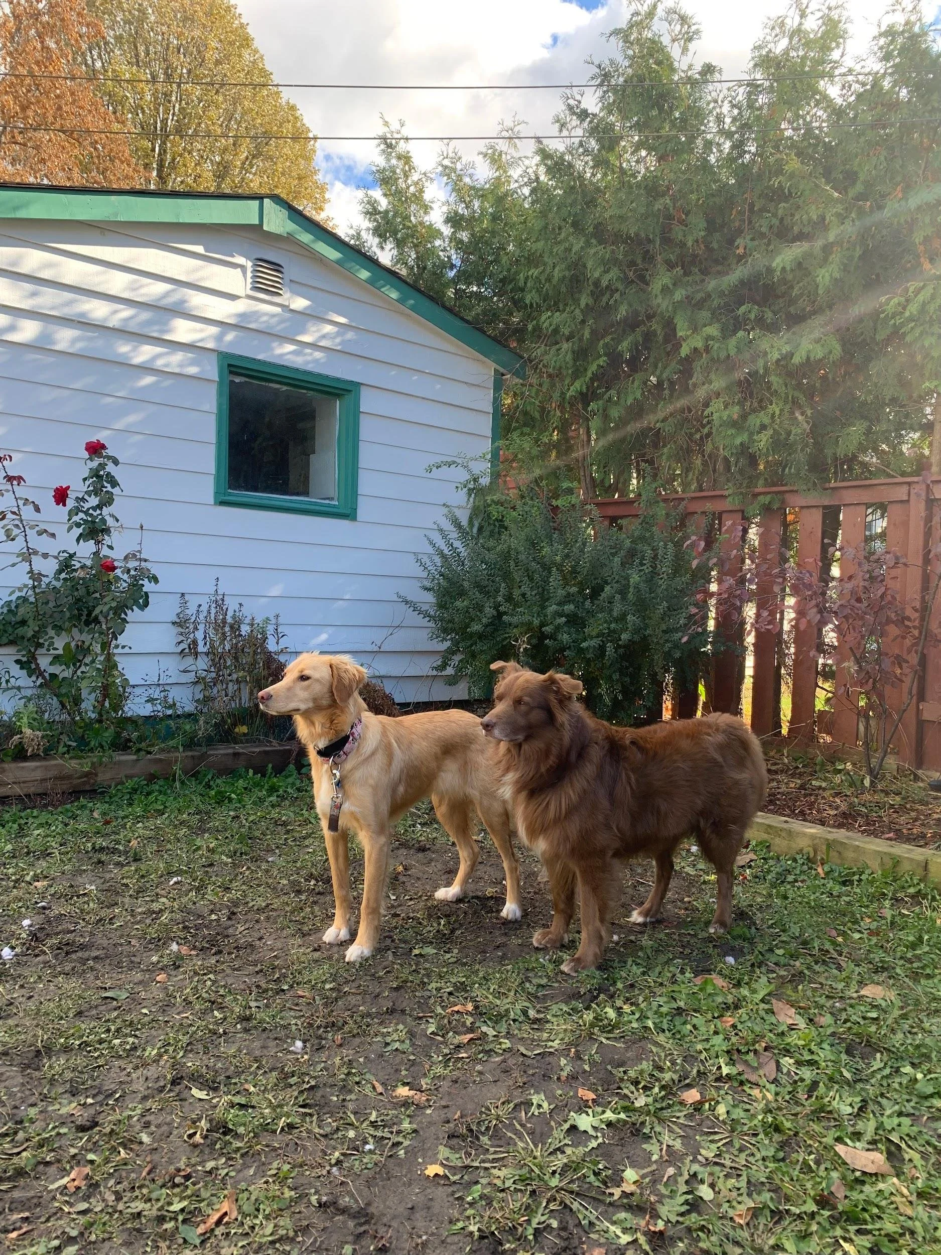 Cindy pictures 1.jpeg