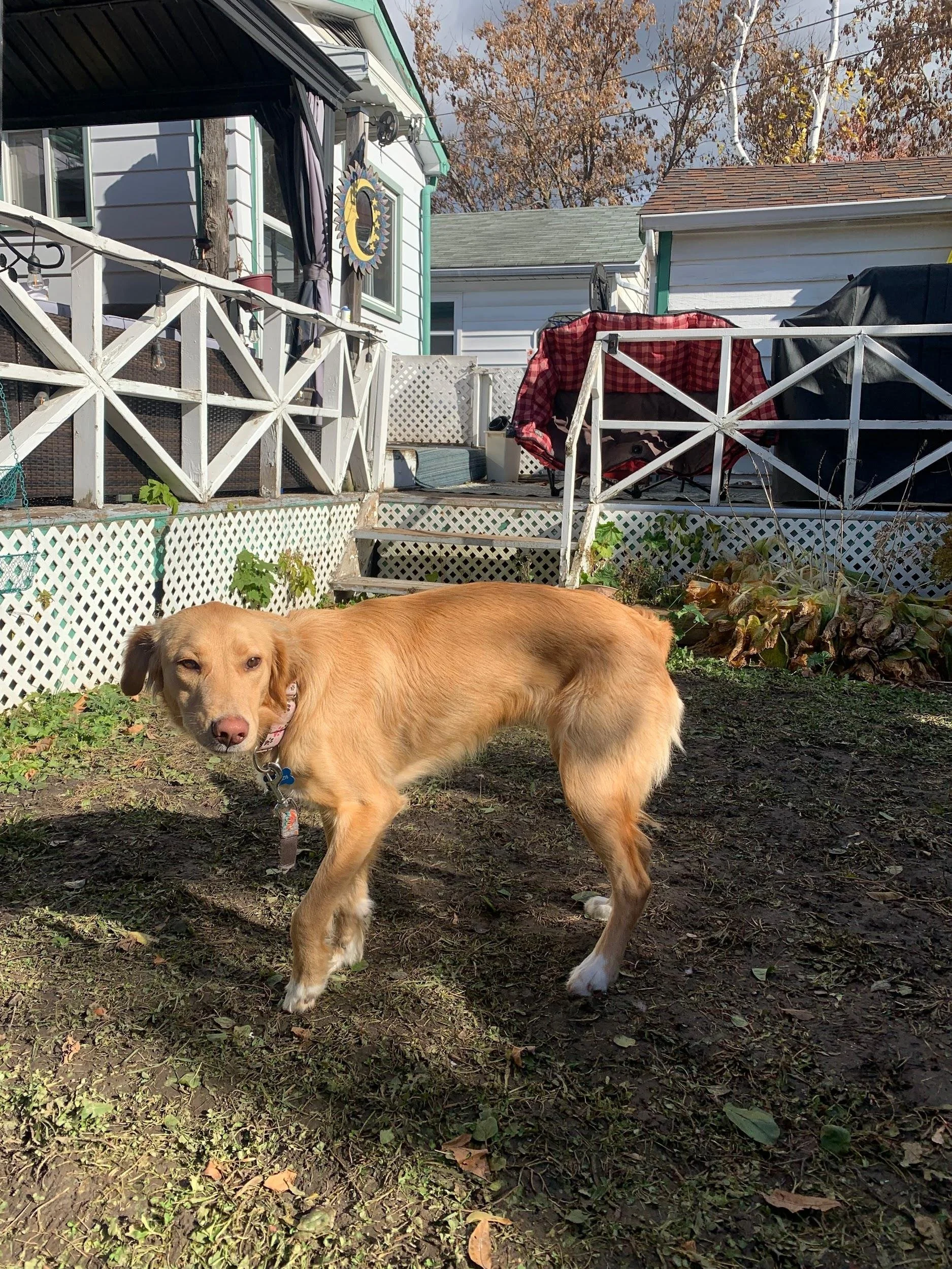 Cindy pictures 2.jpeg