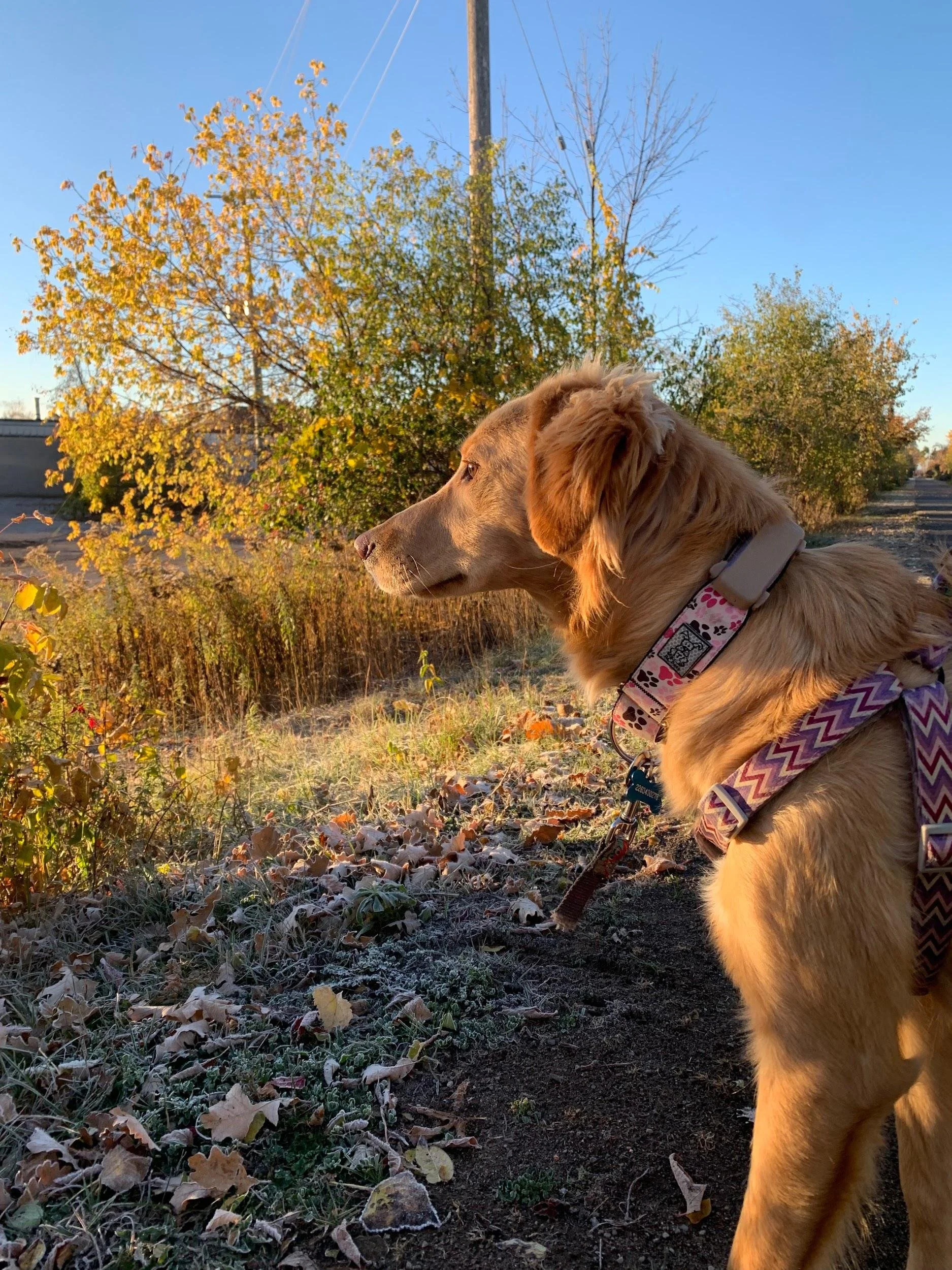 Cindy pictures 5.jpeg