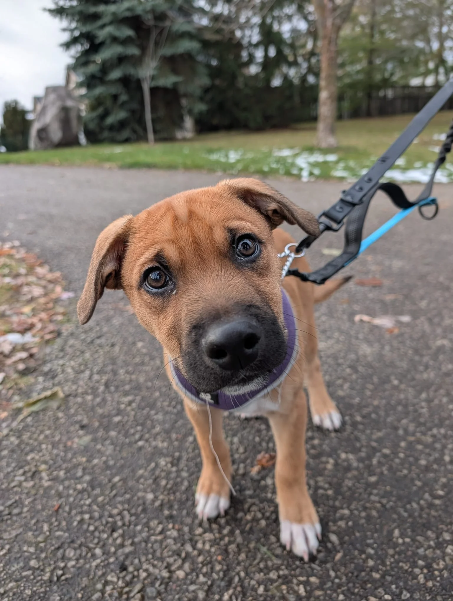 WhatsApp Image 2025-11-13 at 1.00.43 AM - Rafael Pena.jpeg