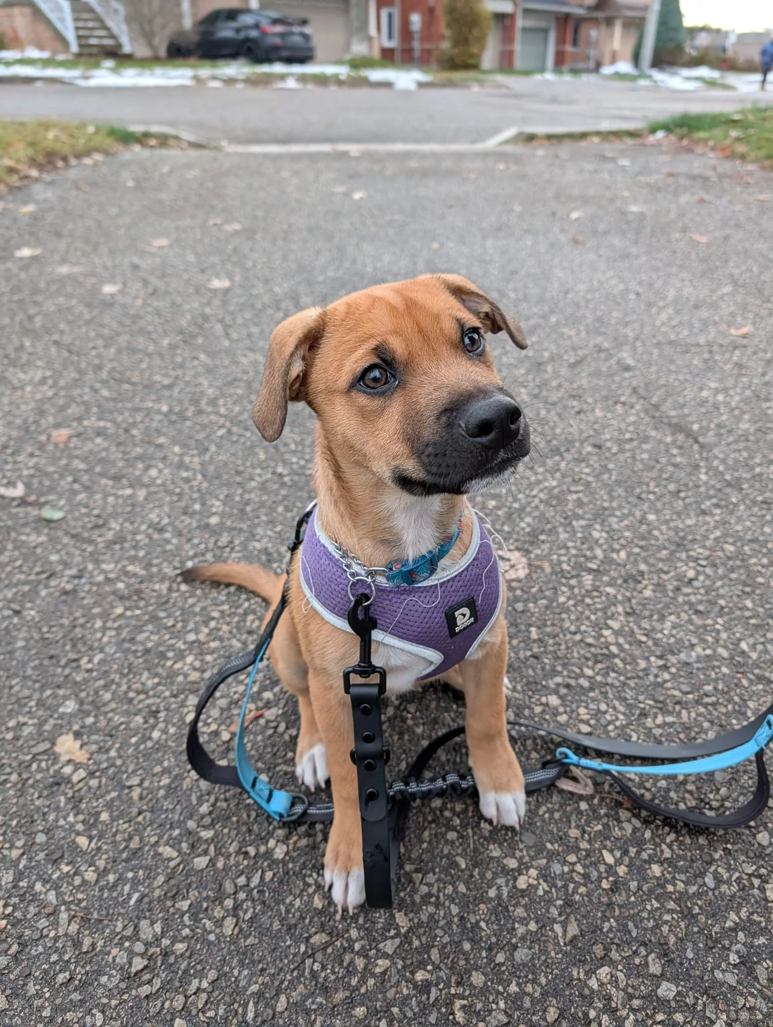 WhatsApp Image 2025-11-13 at 1.01.05 AM - Rafael Pena.jpeg