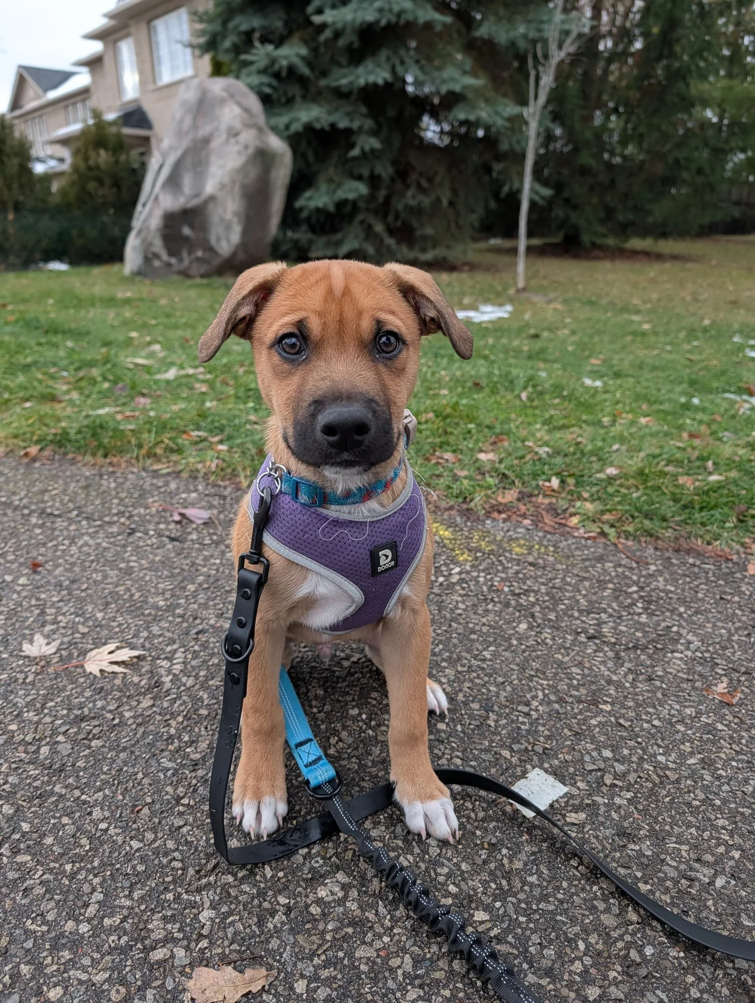 WhatsApp Image 2025-11-13 at 1.01.21 AM - Rafael Pena.jpeg