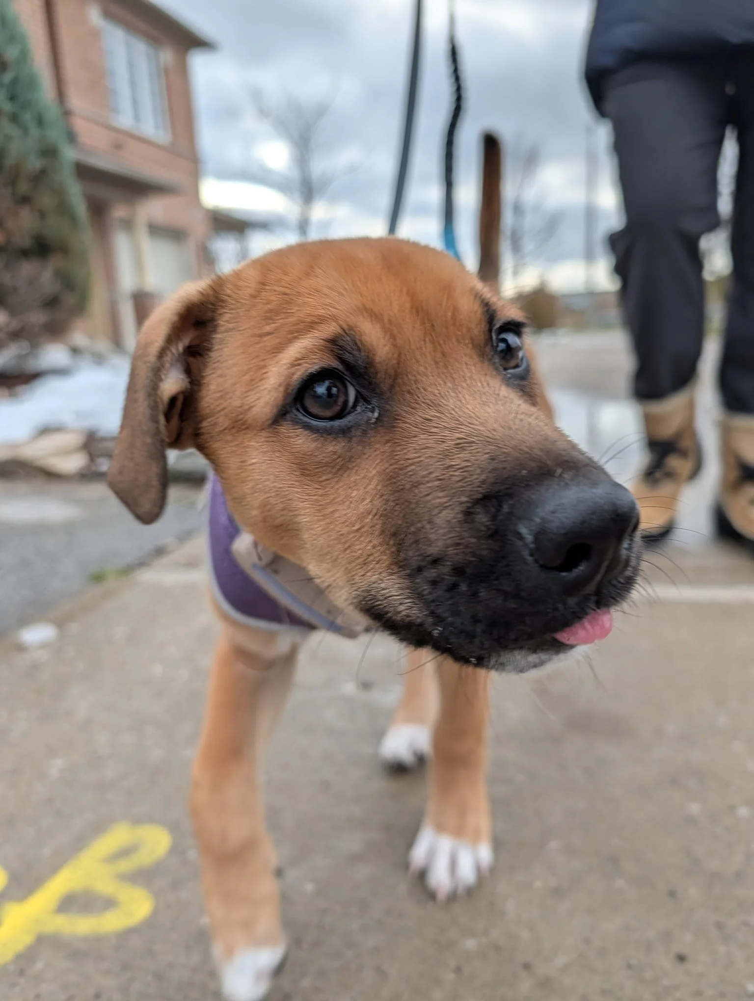 WhatsApp Image 2025-11-13 at 1.07.45 AM - Rafael Pena.jpeg