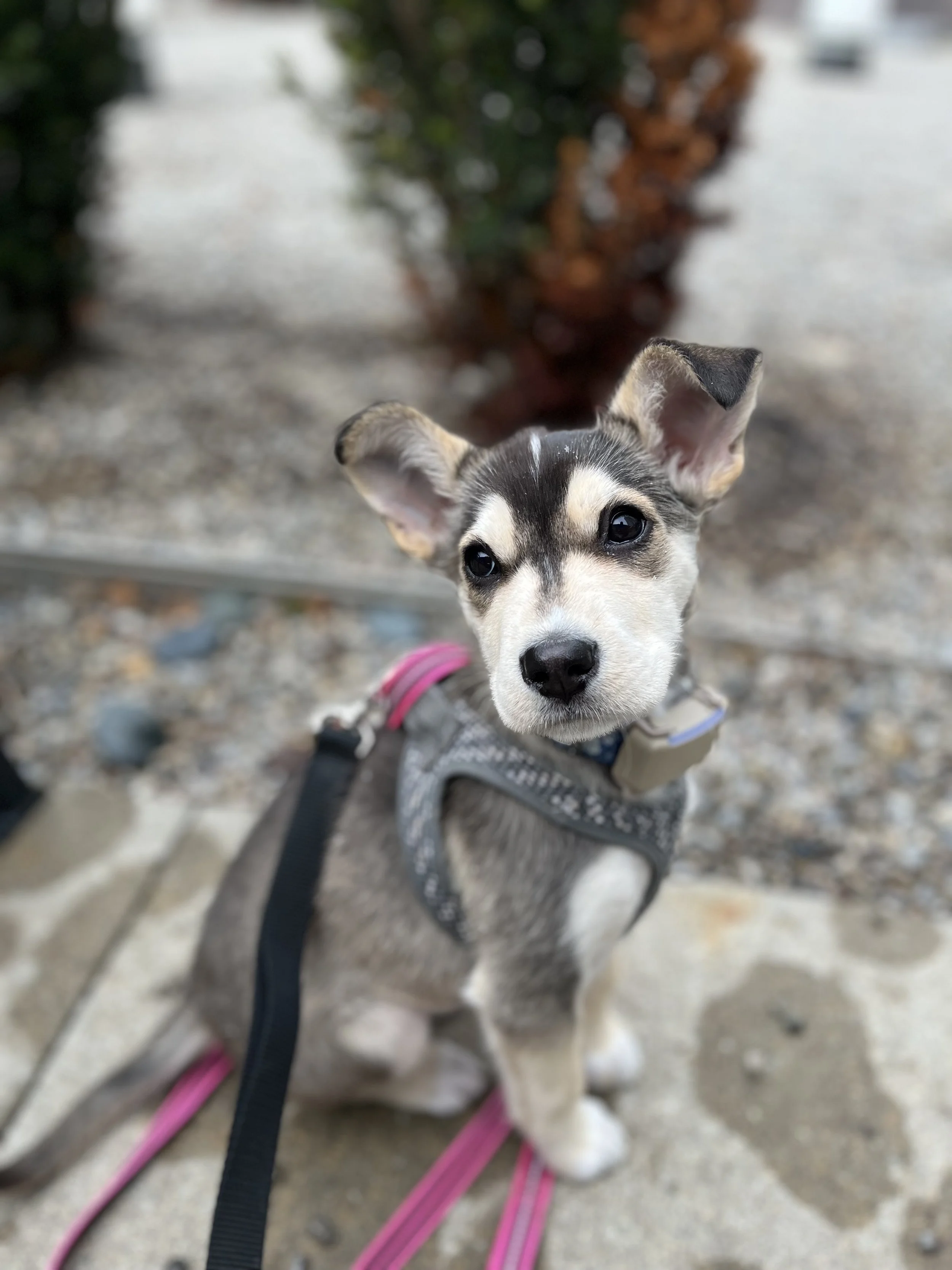 IMG_4253 - Michael Teoh.jpg