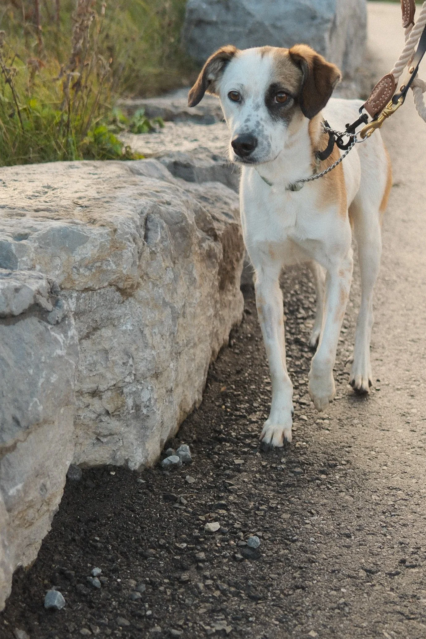 DSCF0283 - Shipra Roy.jpeg