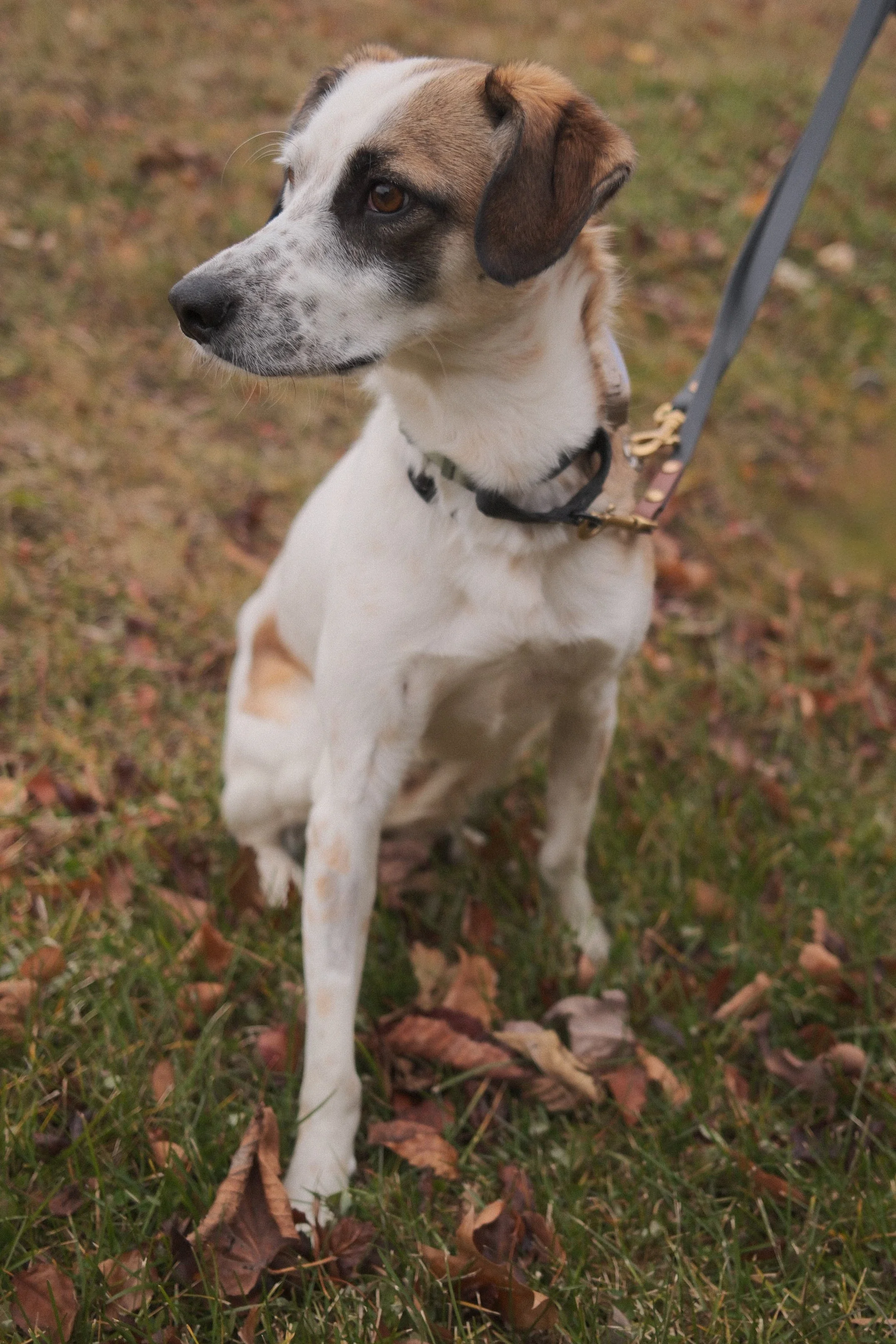 DSCF0437 - Shipra Roy.jpeg