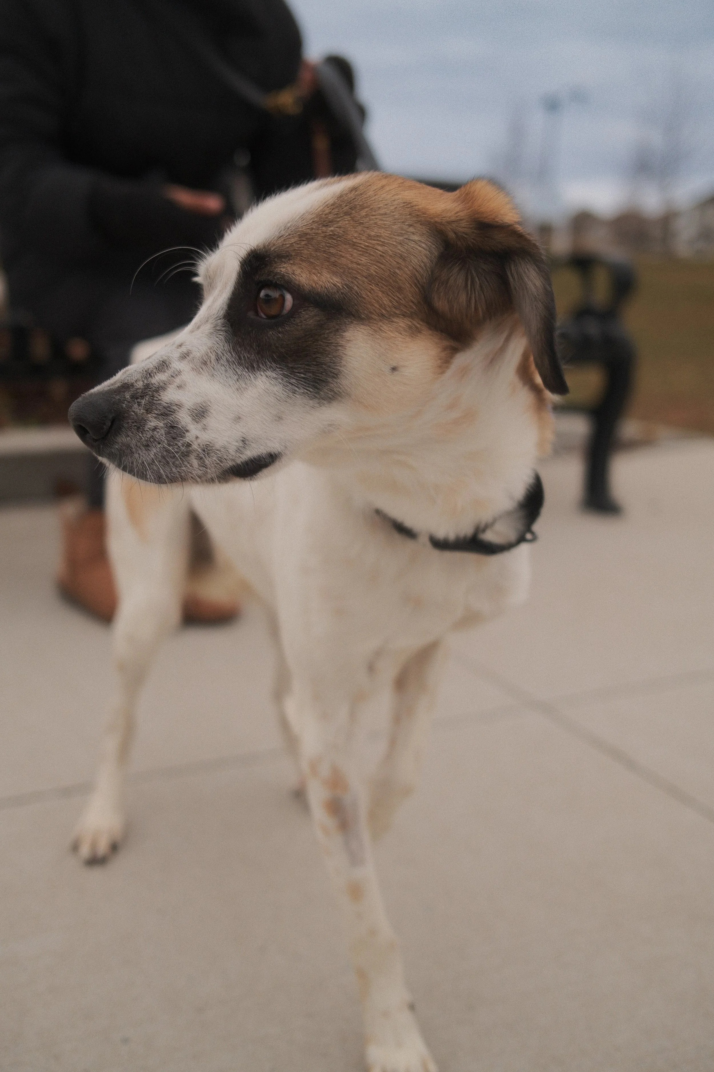 DSCF0461 - Shipra Roy.jpeg